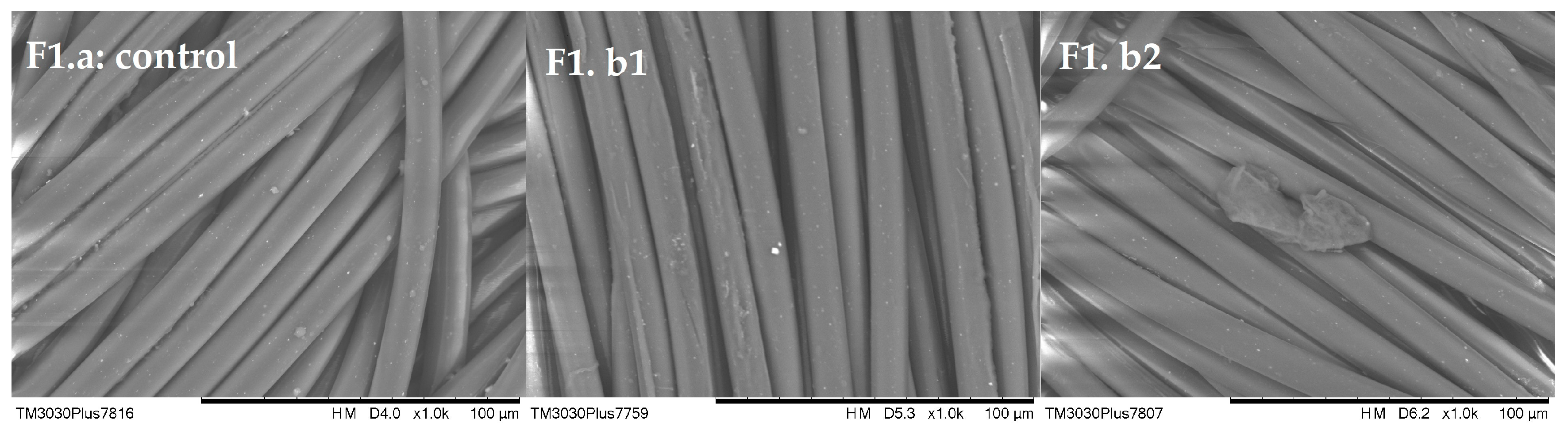 Polymers 16 01472 g005