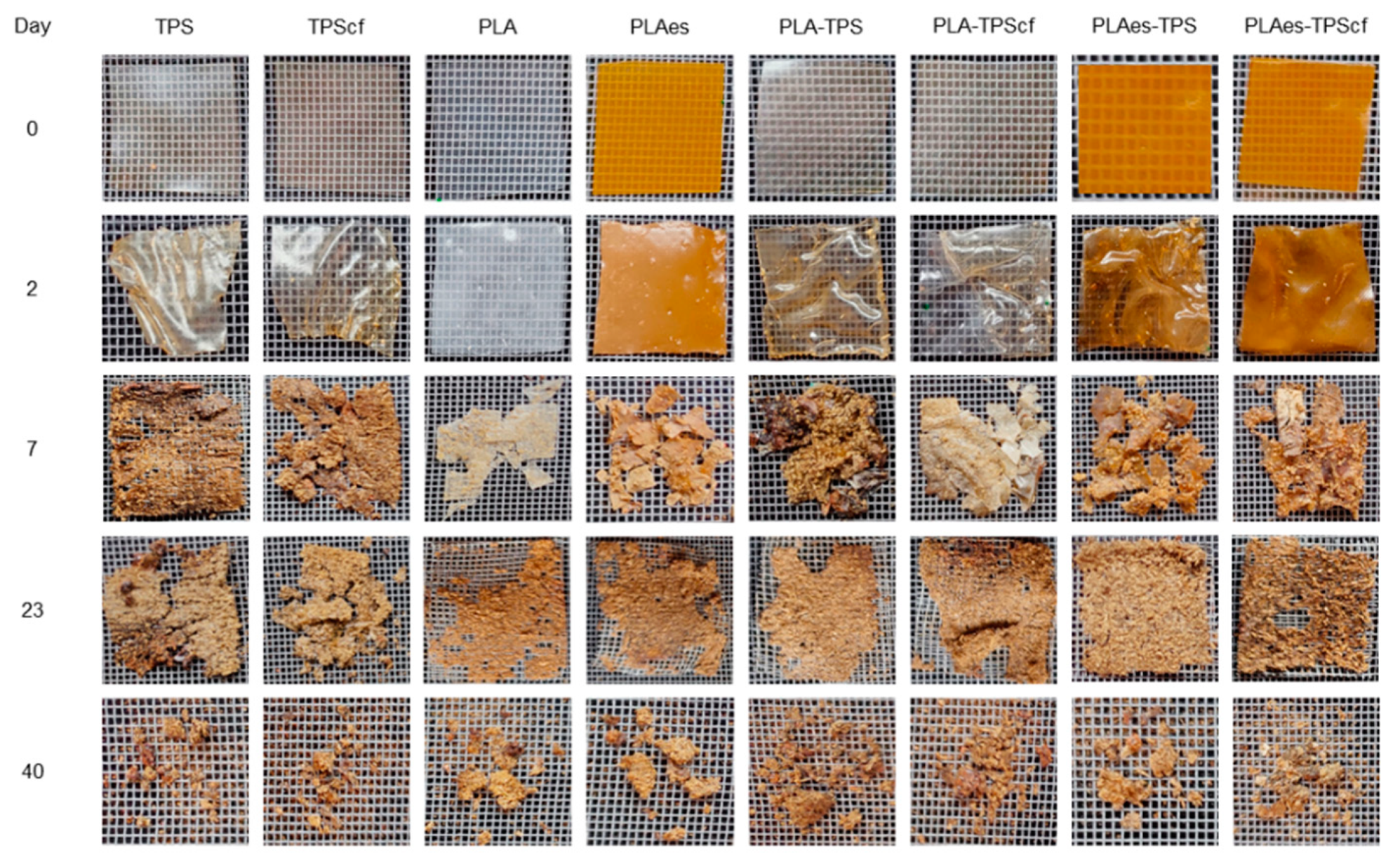 Polymers 16 01474 g006