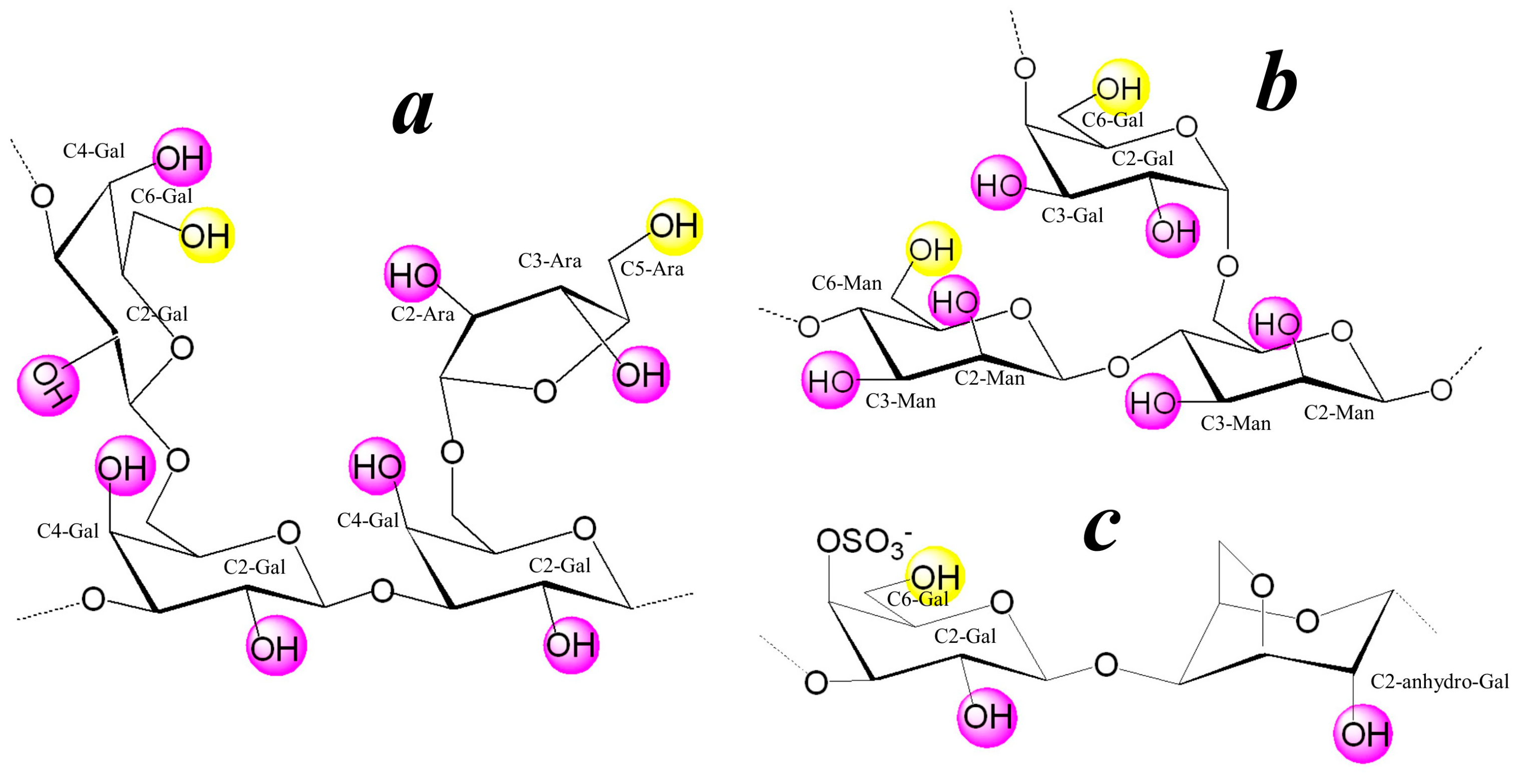 Polymers 16 01482 g001