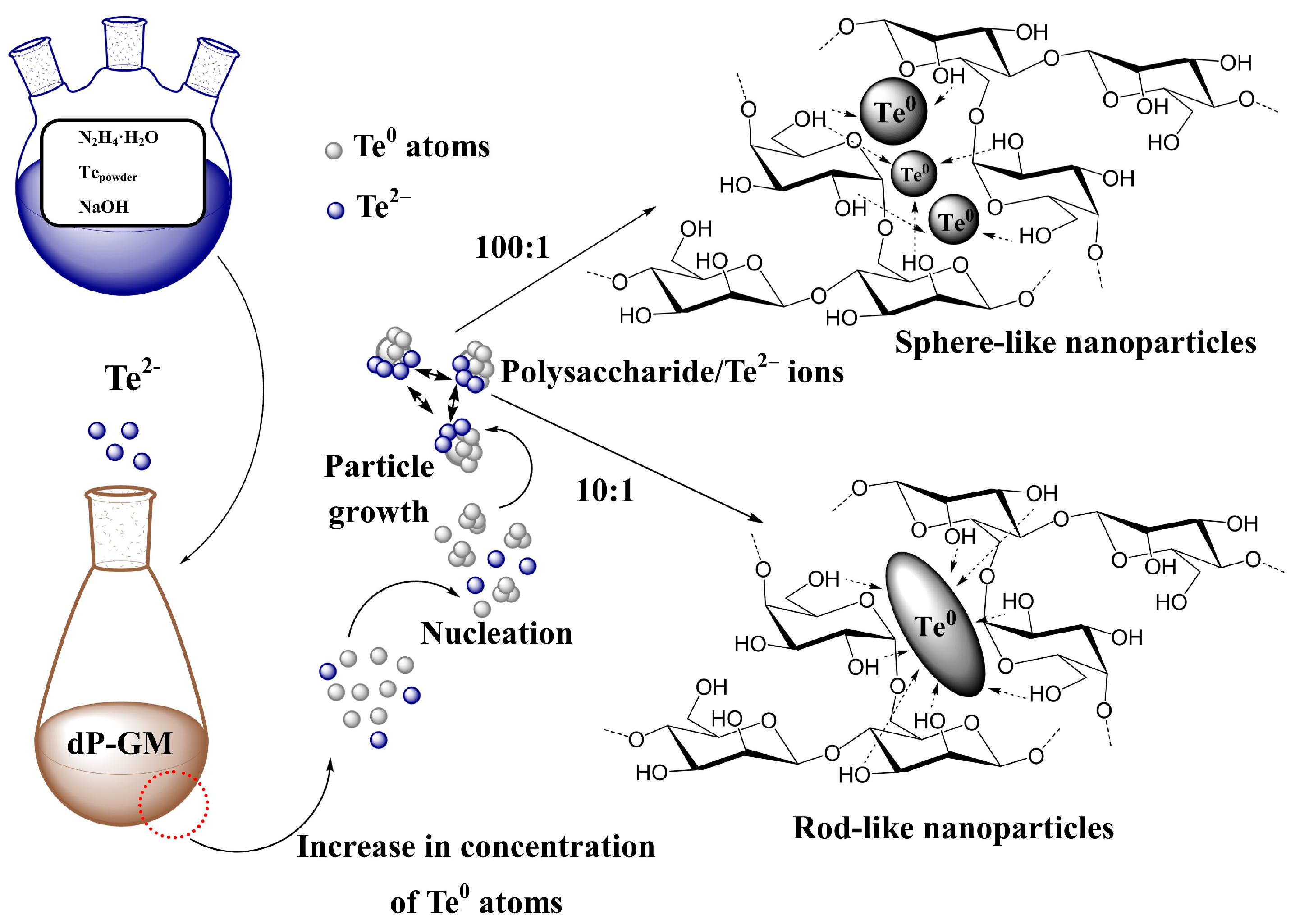 Polymers 16 01482 g007