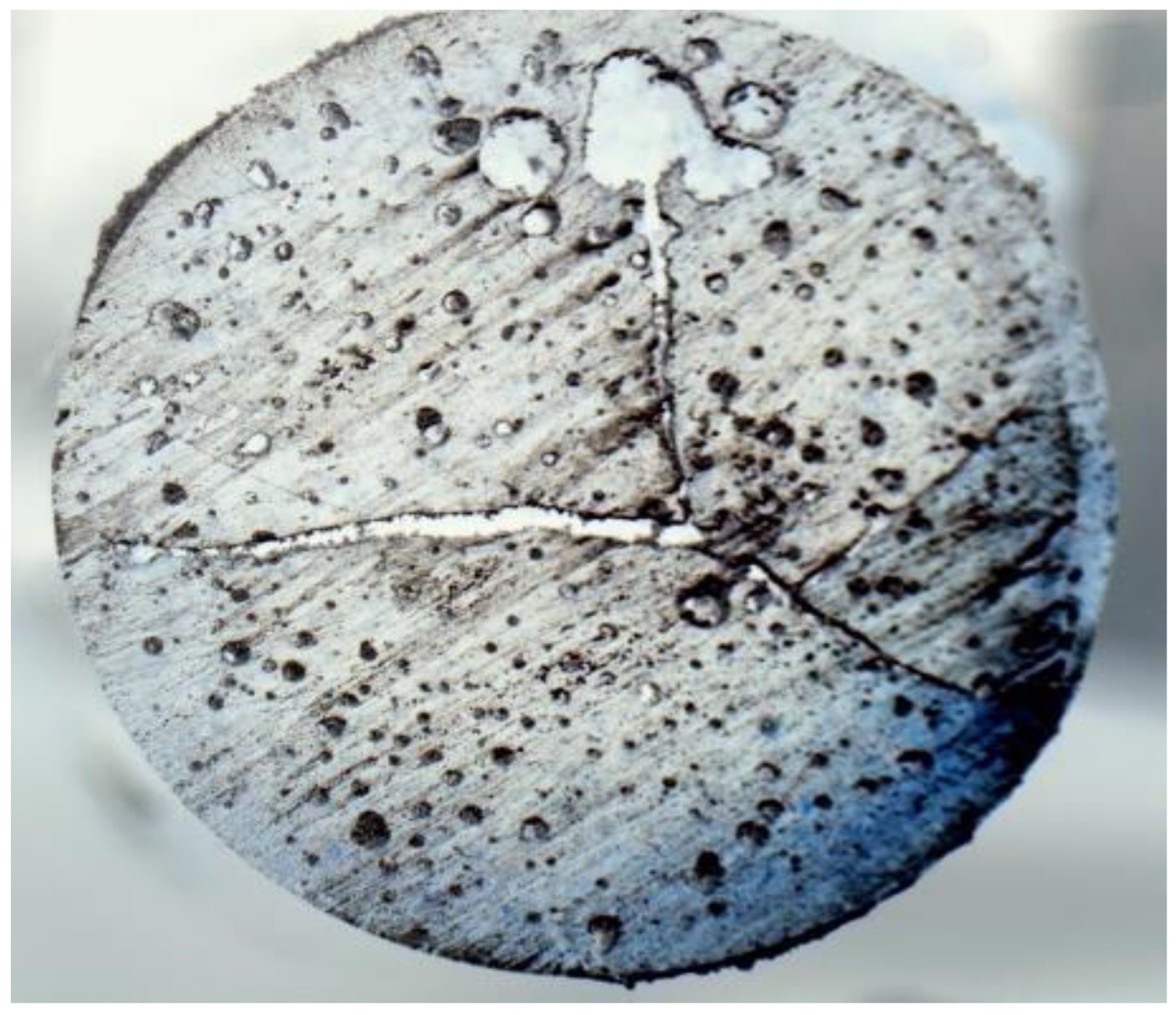 Polymers 16 01493 g007