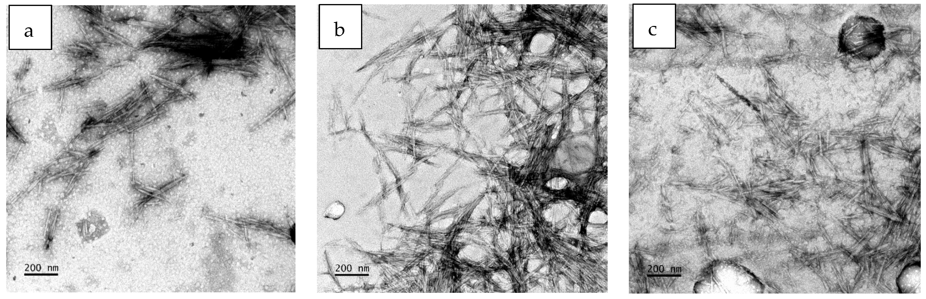Polymers 16 01495 g003