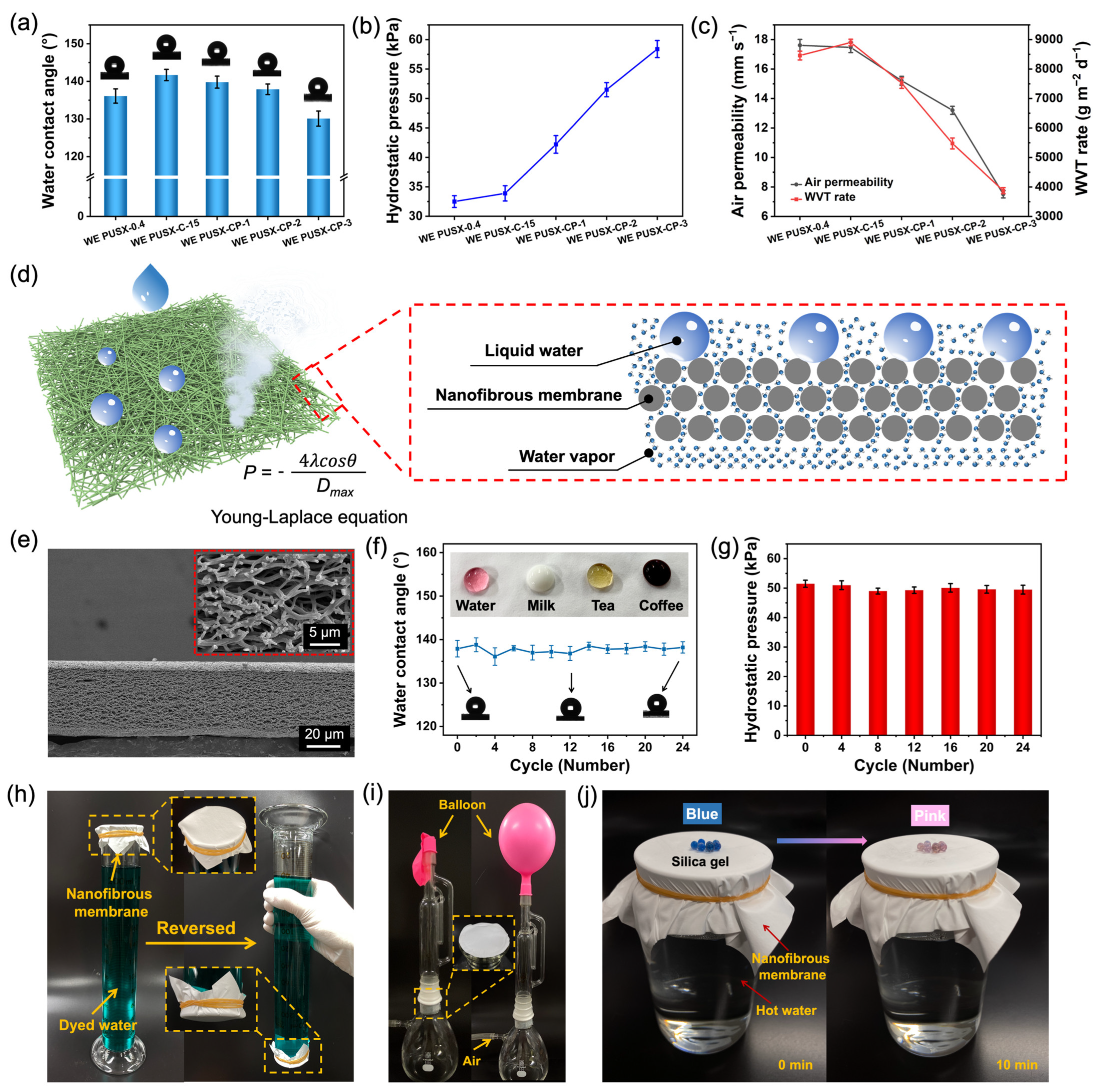 Polymers 16 01505 g006