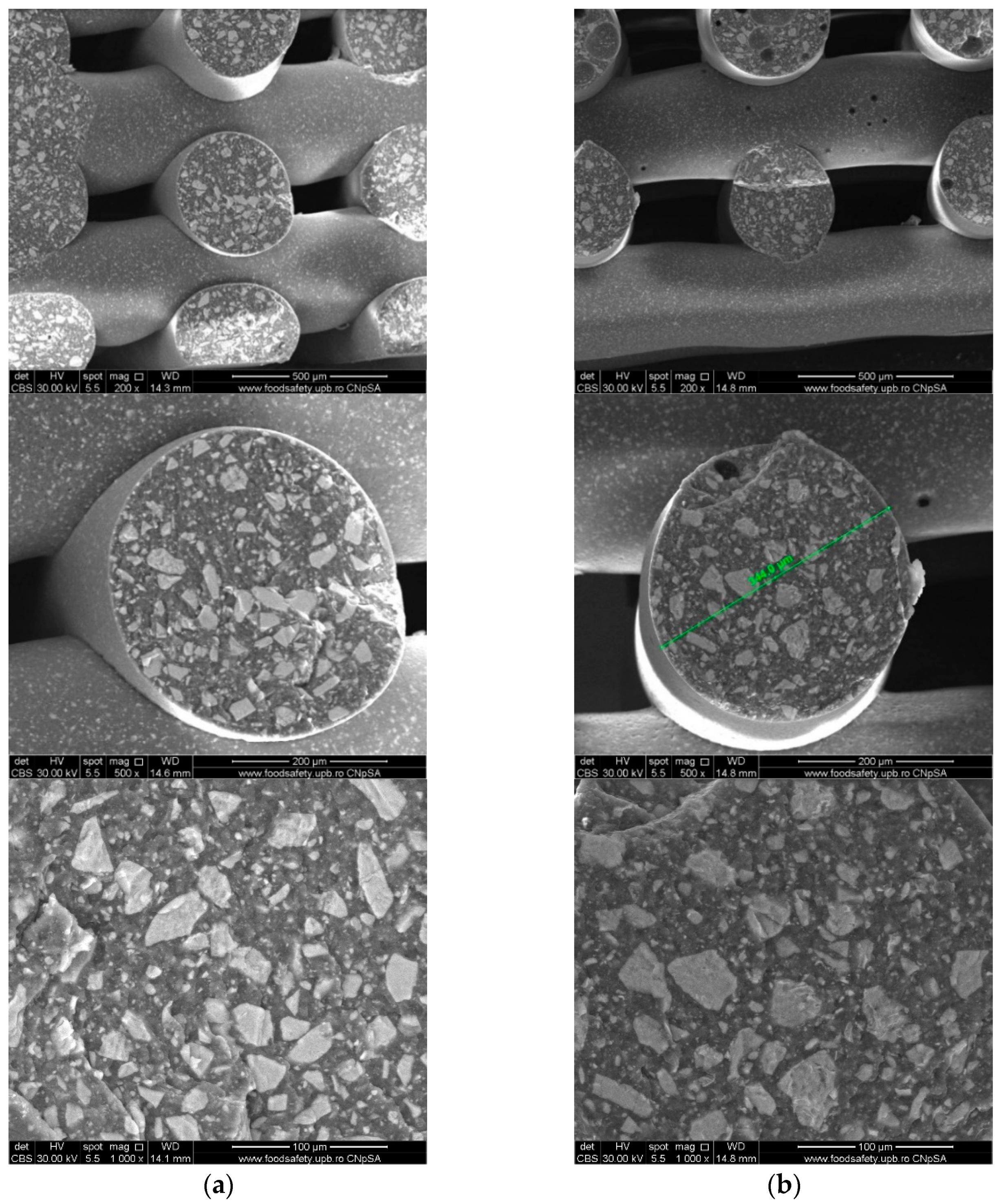 Polymers 16 01511 g005