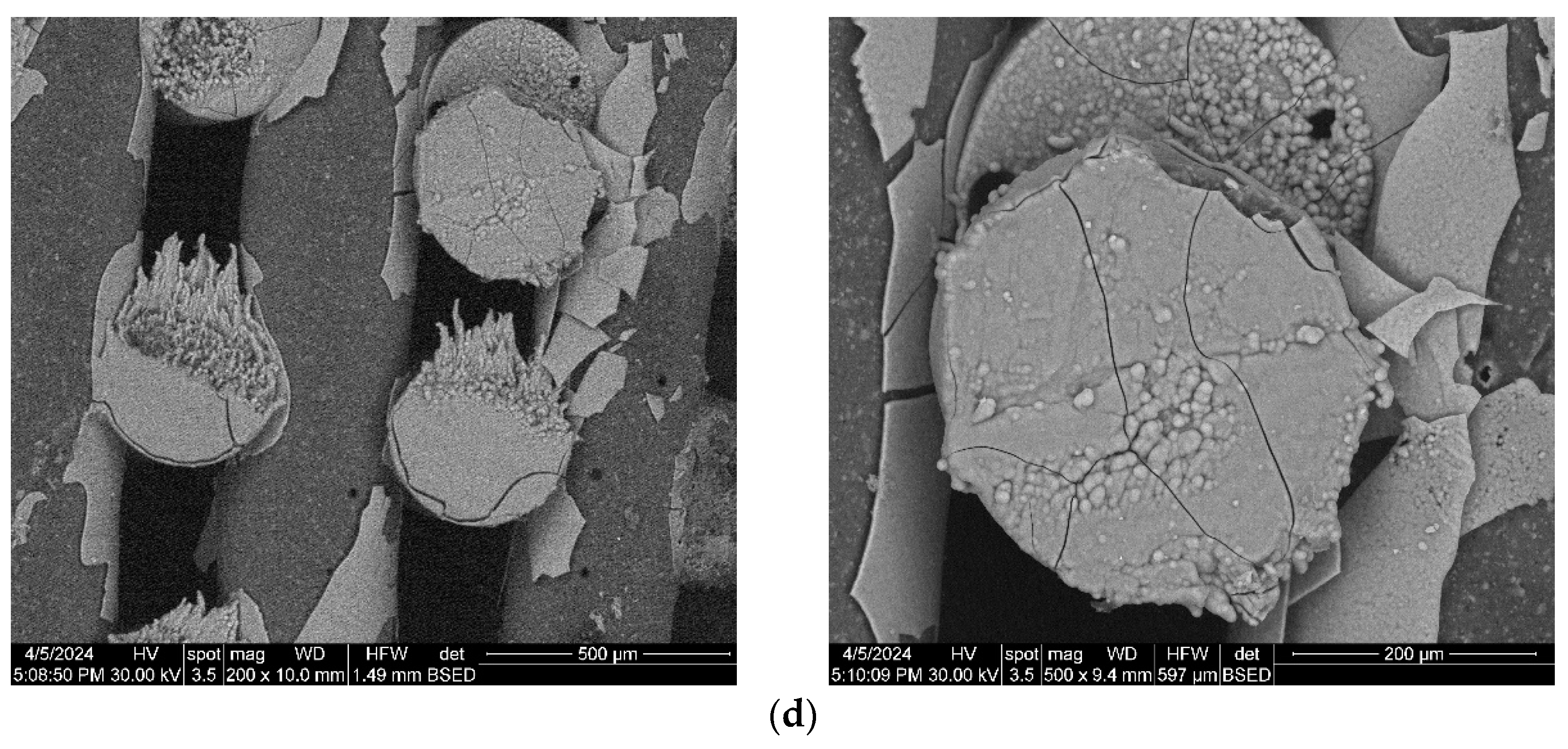 Polymers 16 01511 g016b