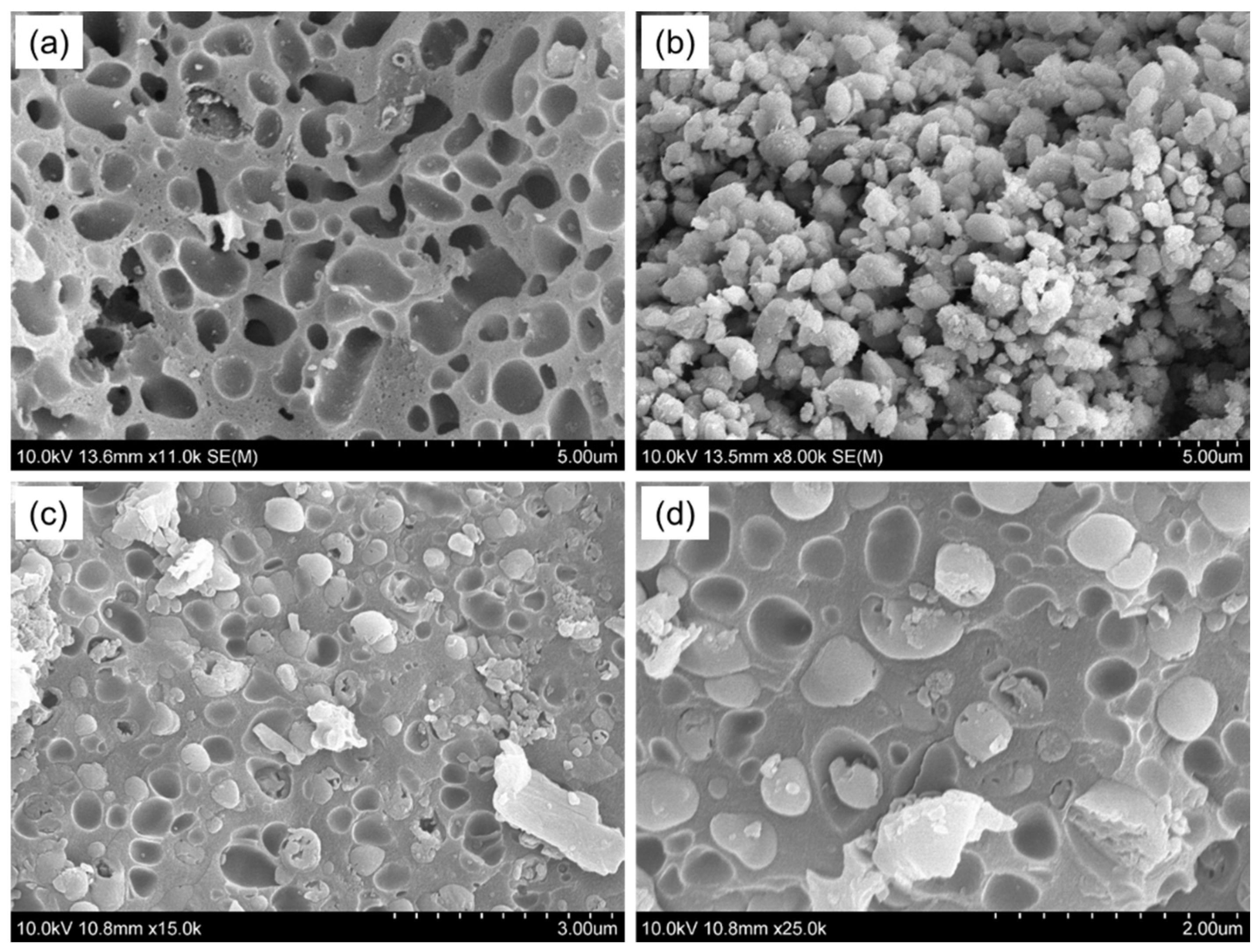 Polymers 16 01513 g004