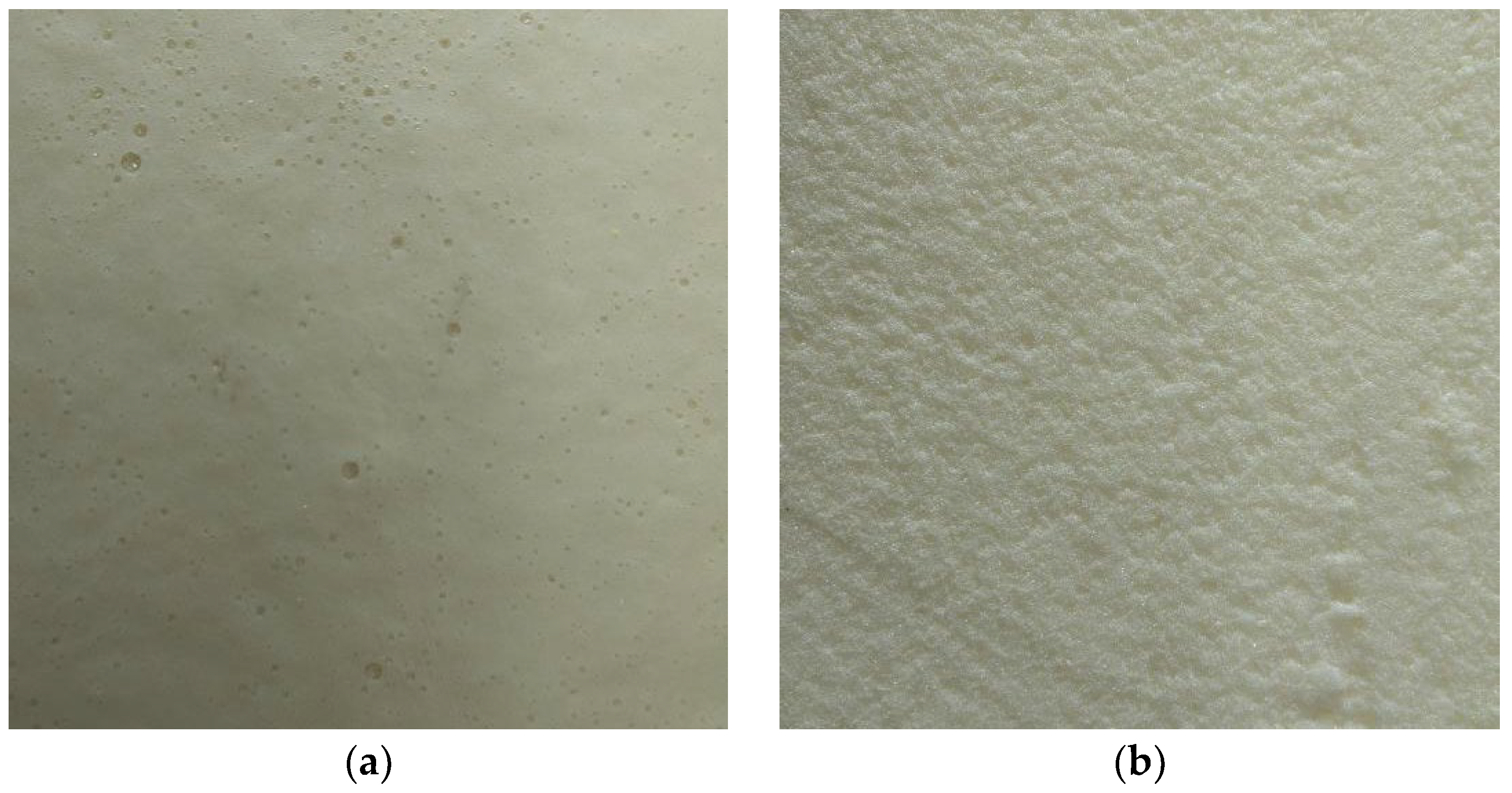 Polymers 16 01517 g005