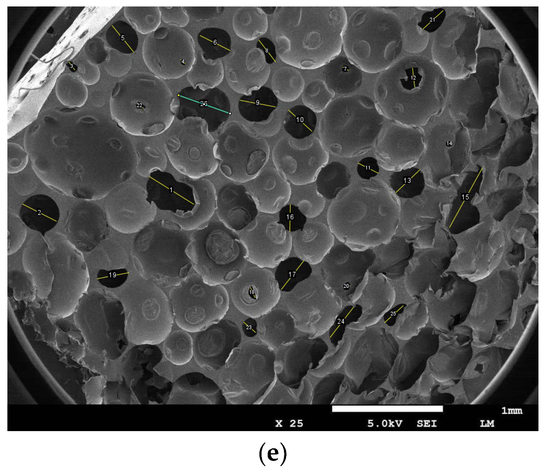 Polymers 16 01517 g016b