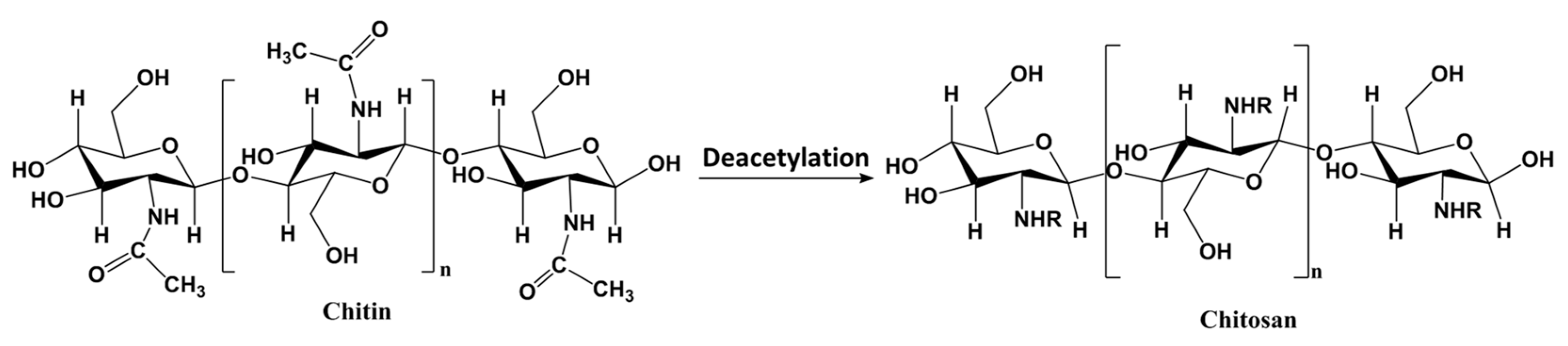 Polymers 16 01520 g005