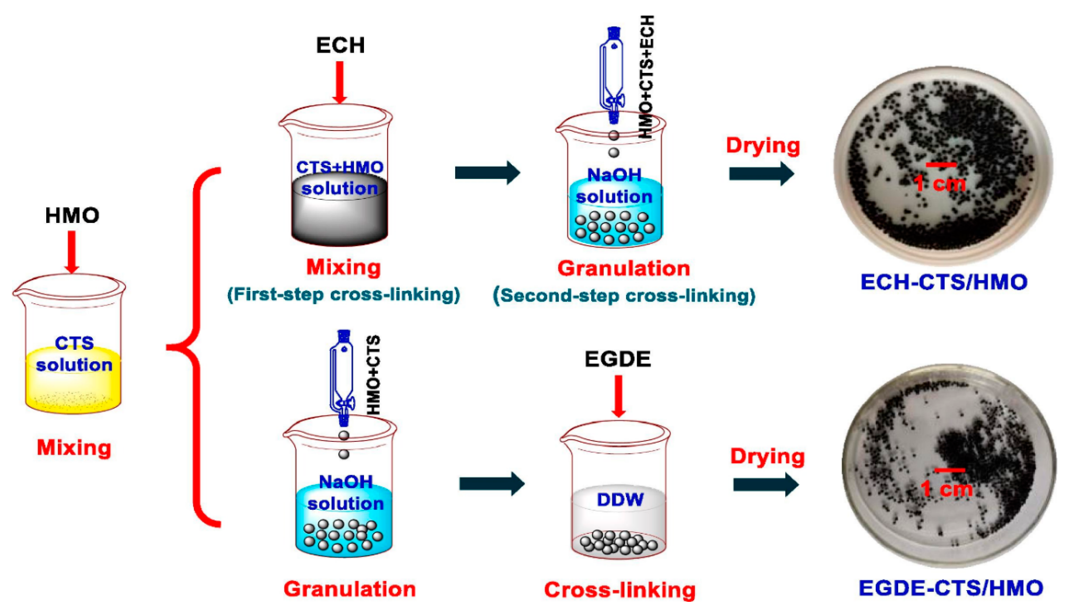 Polymers 16 01520 g006