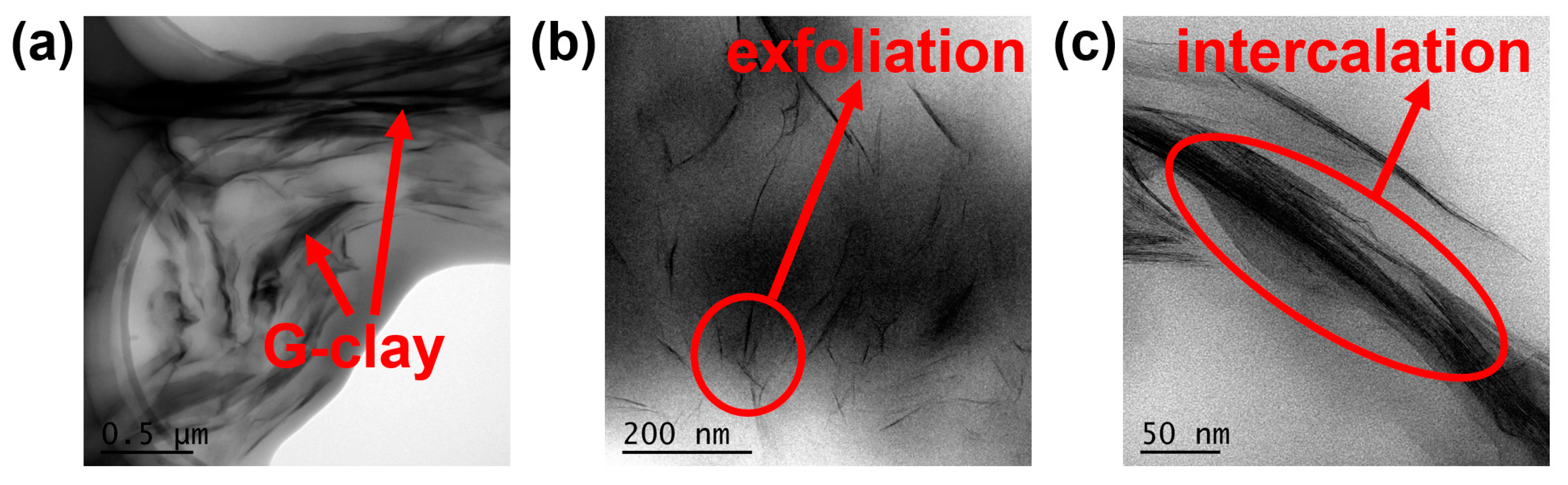 Polymers 16 01528 g003
