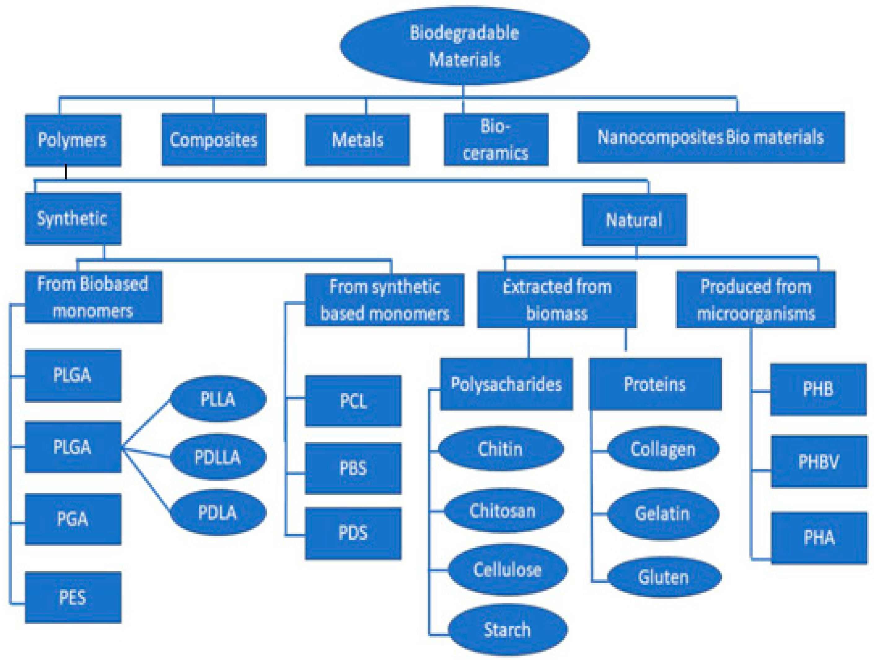 Polymers 16 01533 g003