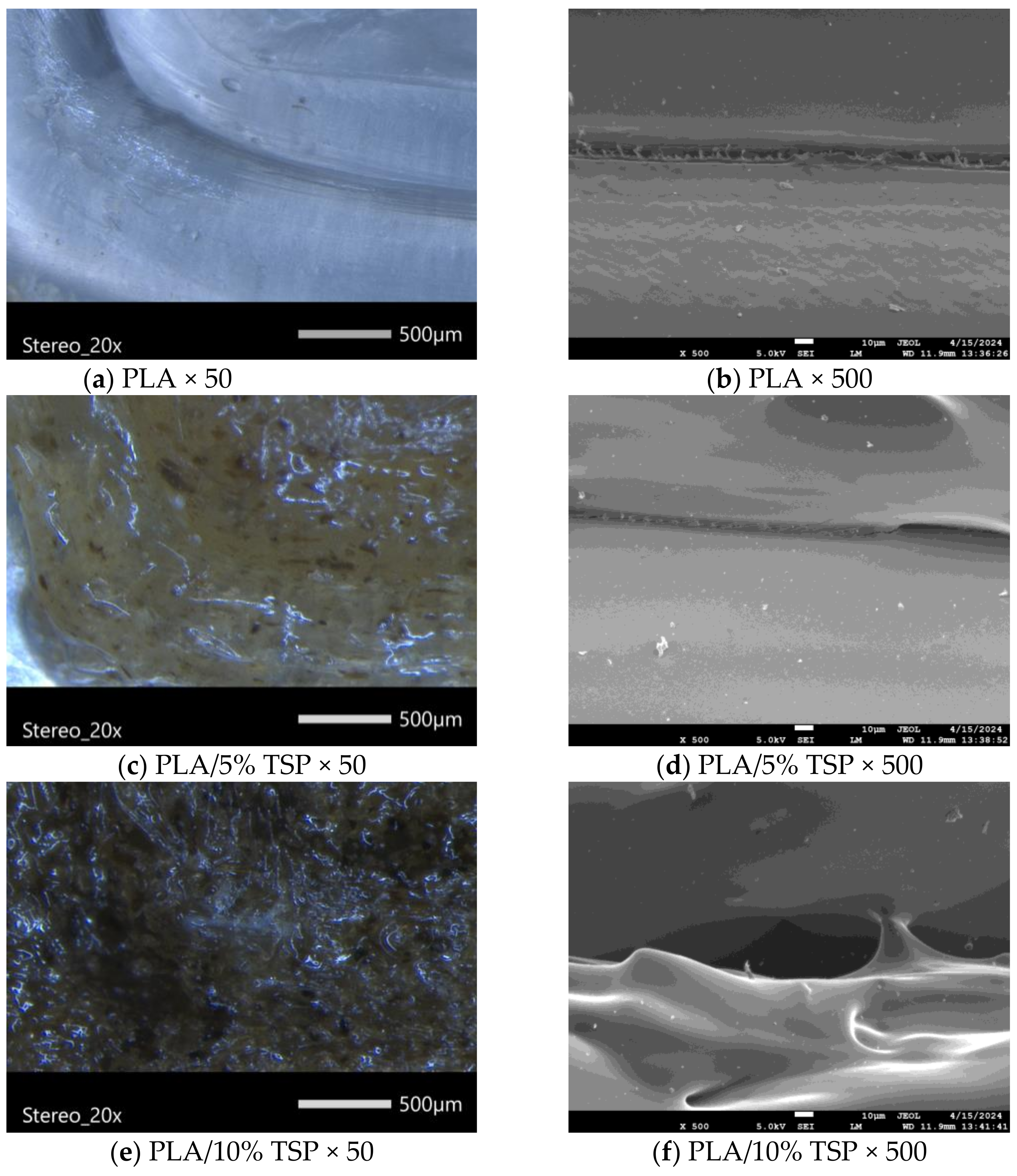 Polymers 16 01536 g006