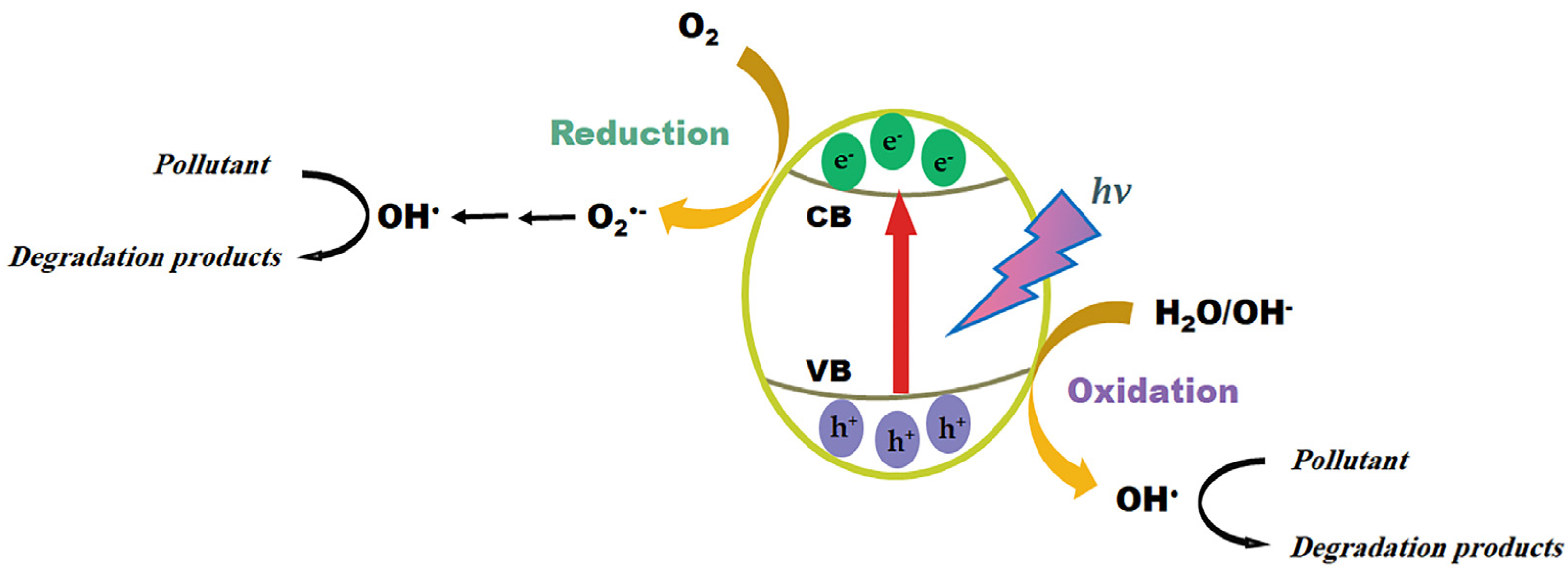Polymers 16 01543 g003