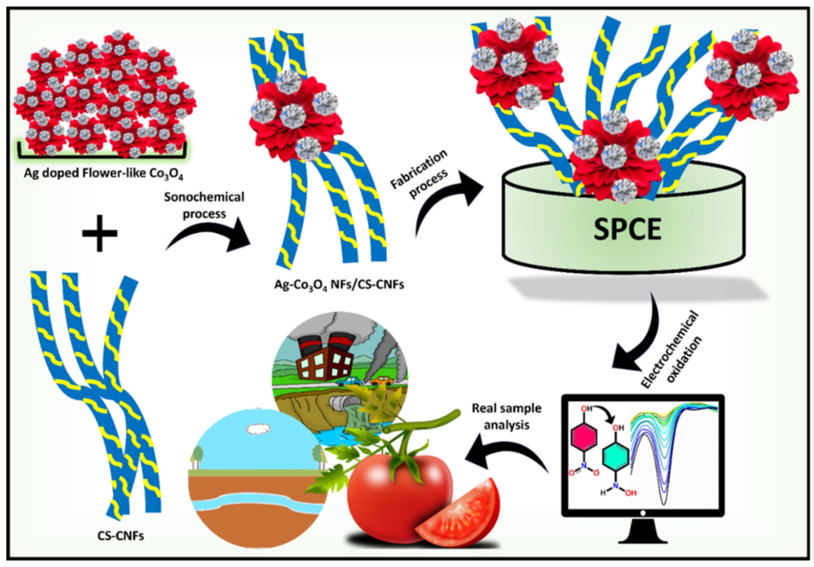 Polymers 16 01543 sch004