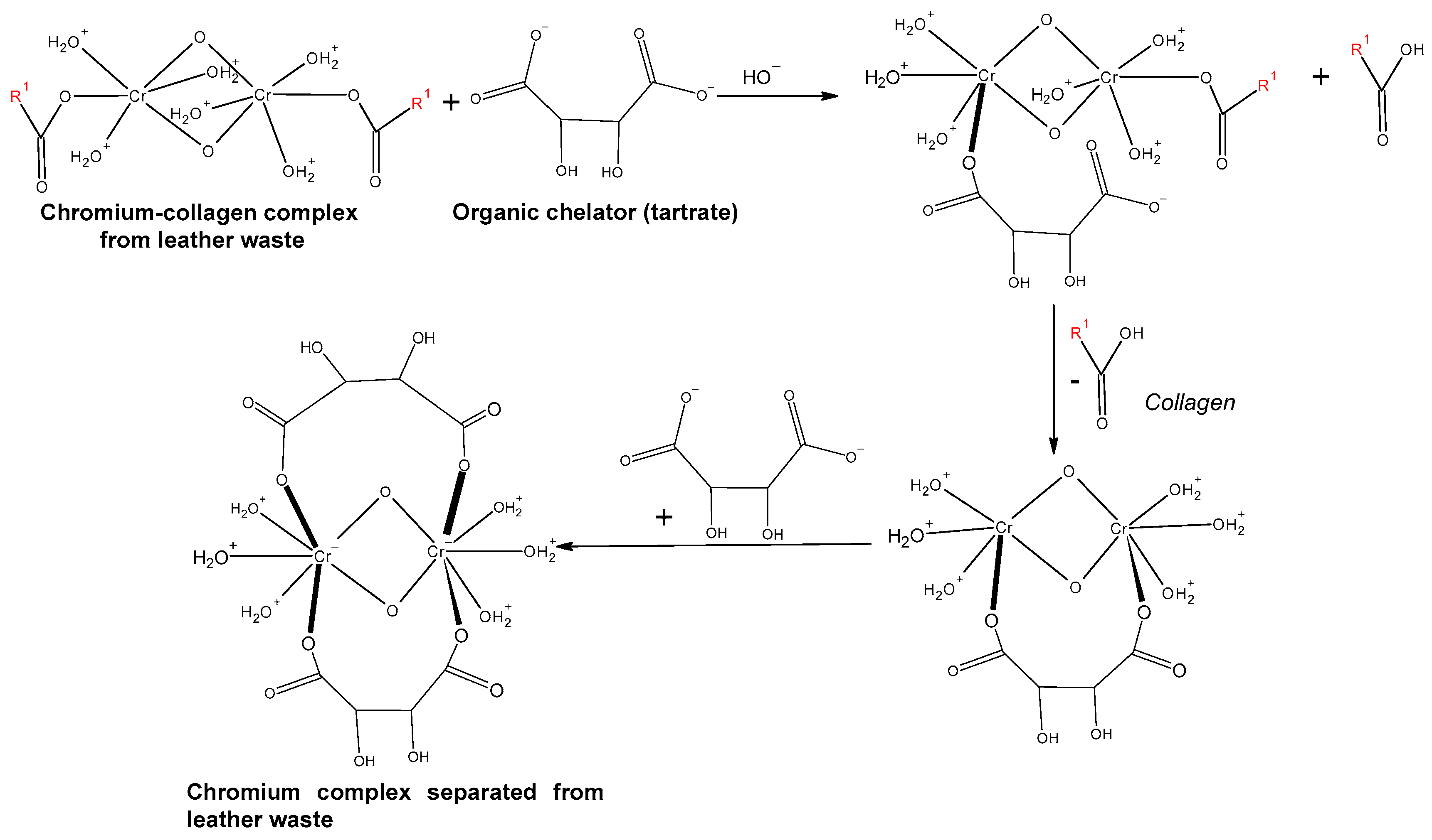 Polymers 16 01546 g007