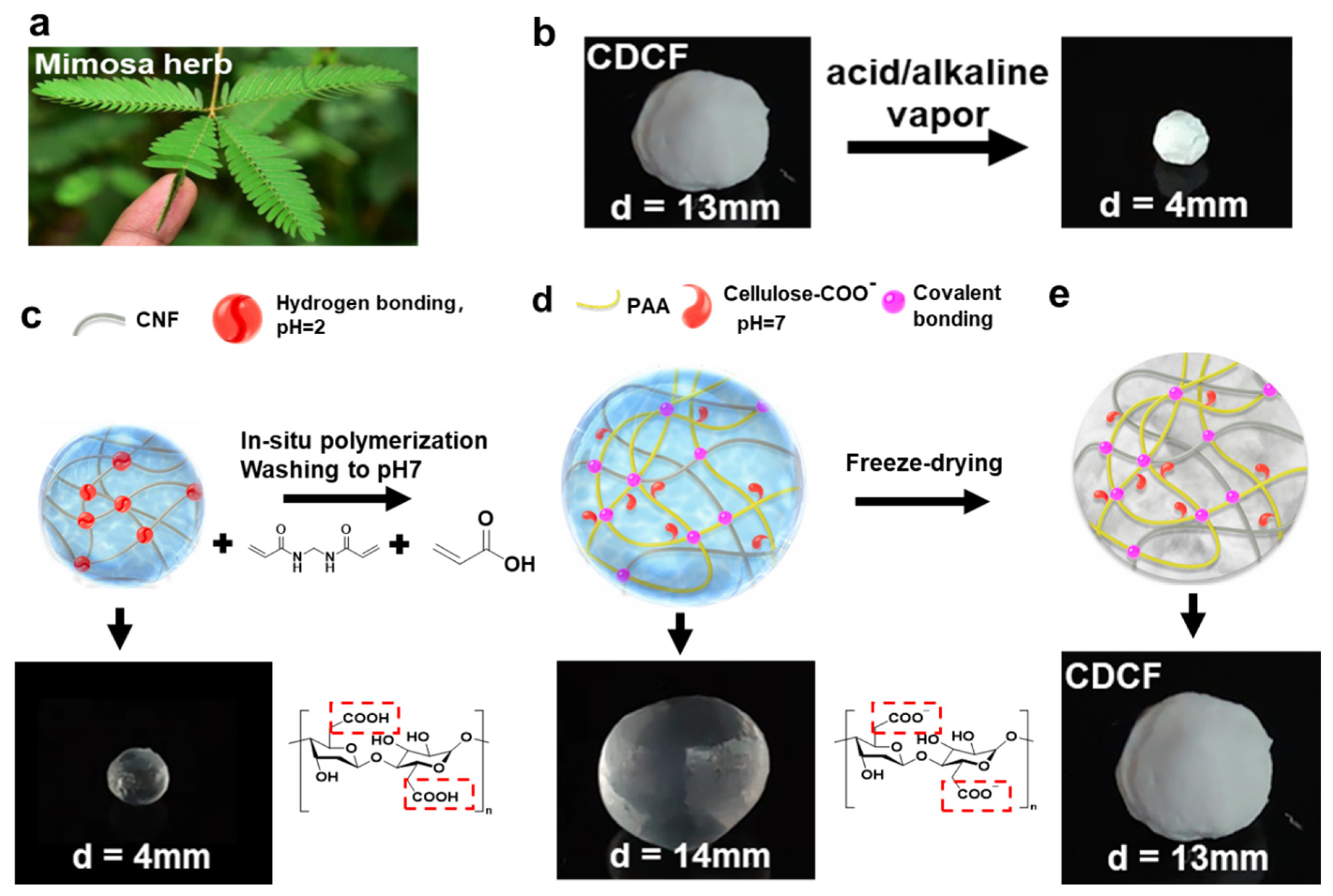 Polymers 16 01547 g001