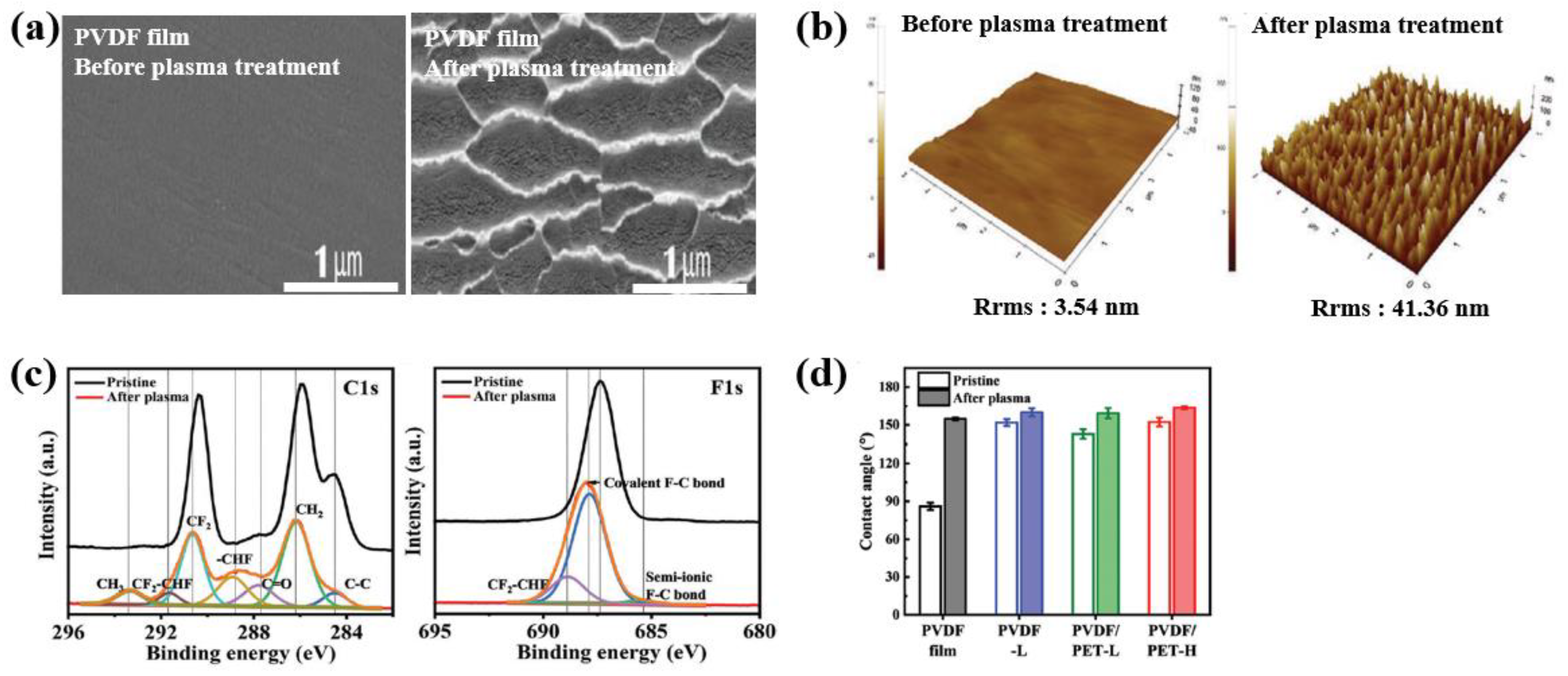 Polymers 16 01548 g033