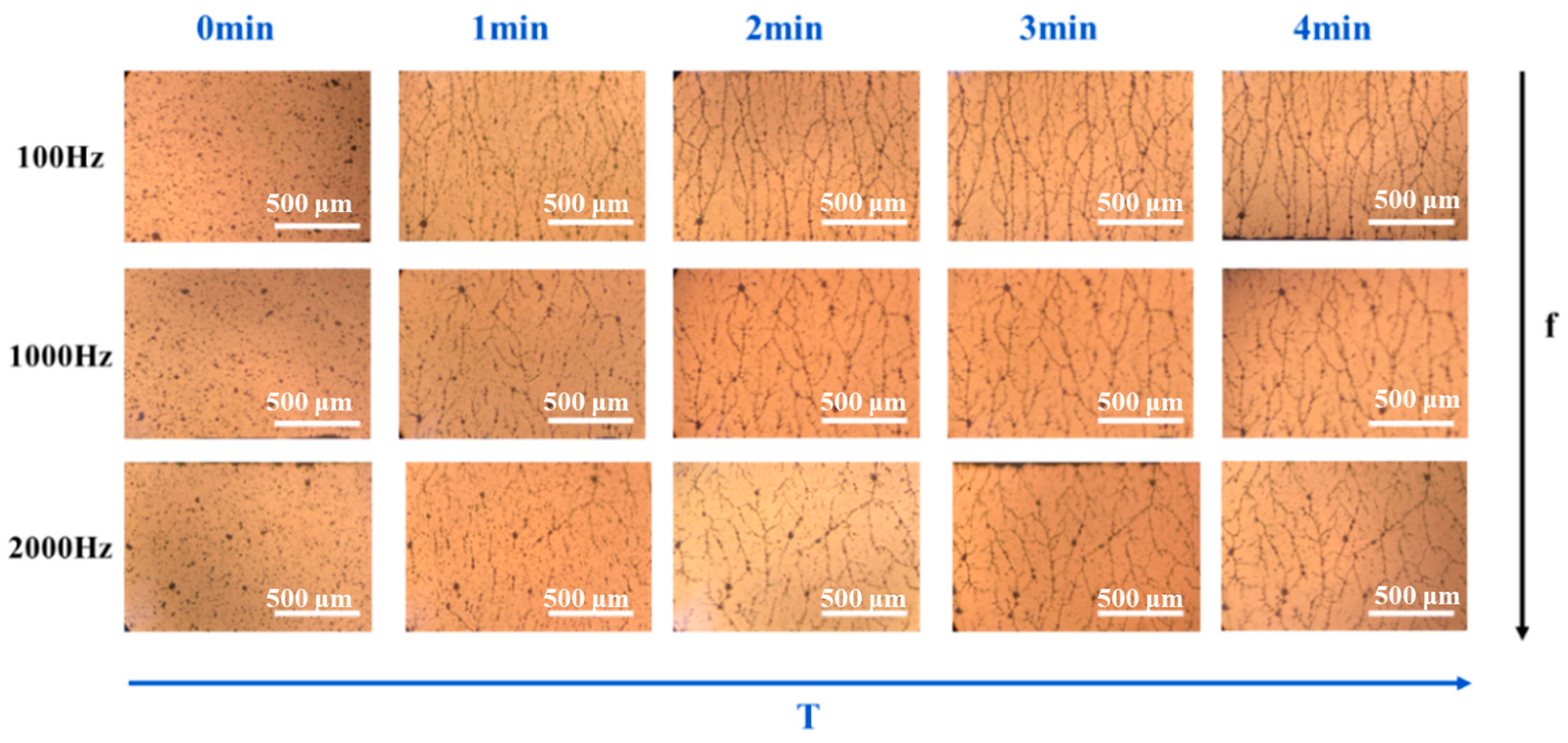 Polymers 16 01549 g003