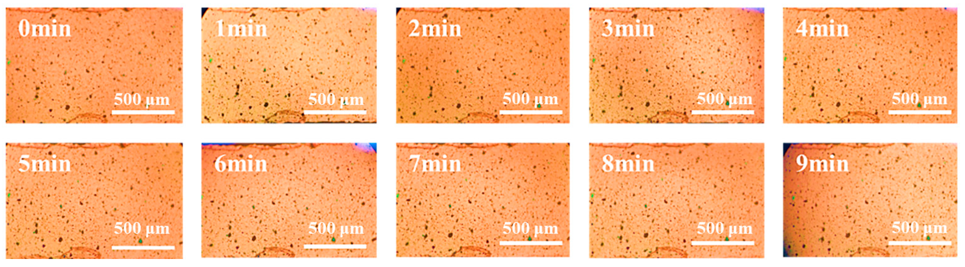 Polymers 16 01549 g004