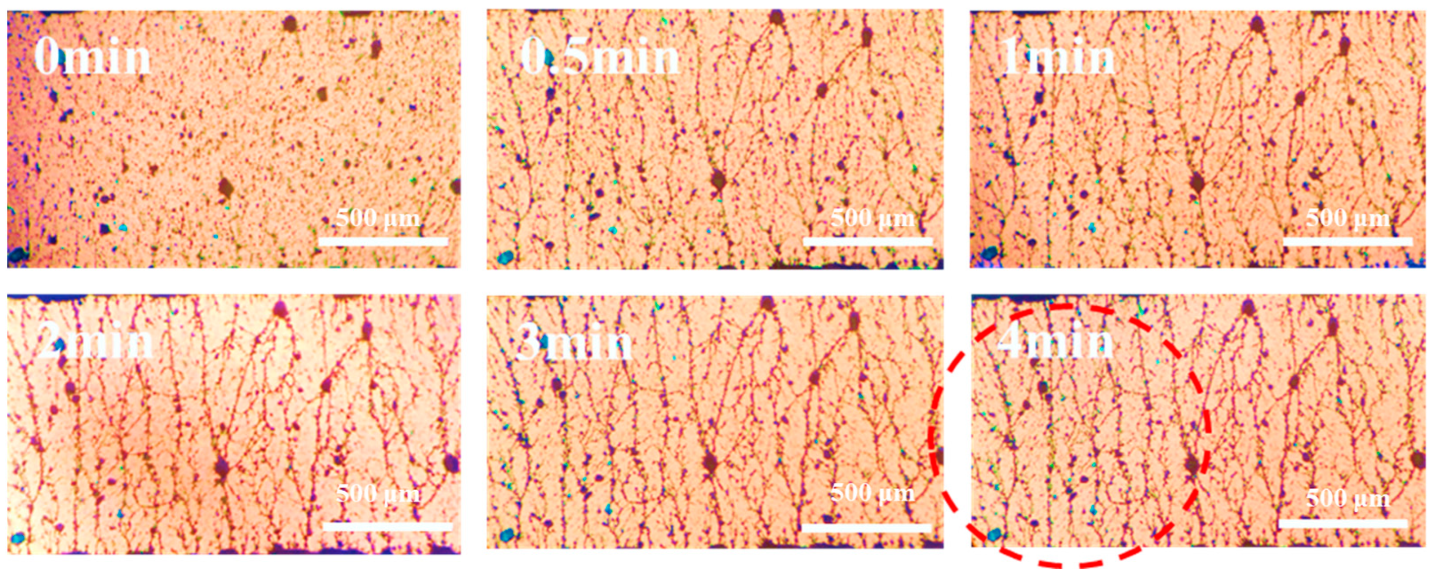 Polymers 16 01549 g005