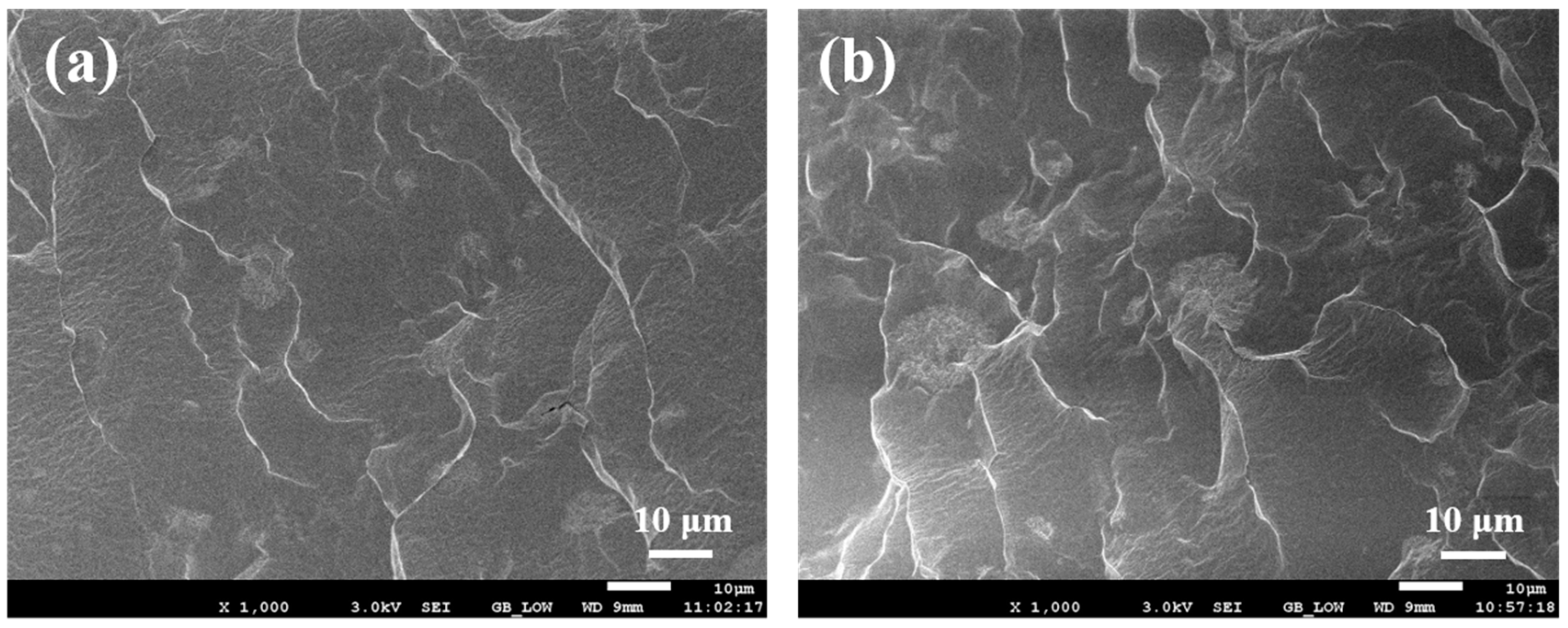 Polymers 16 01549 g009