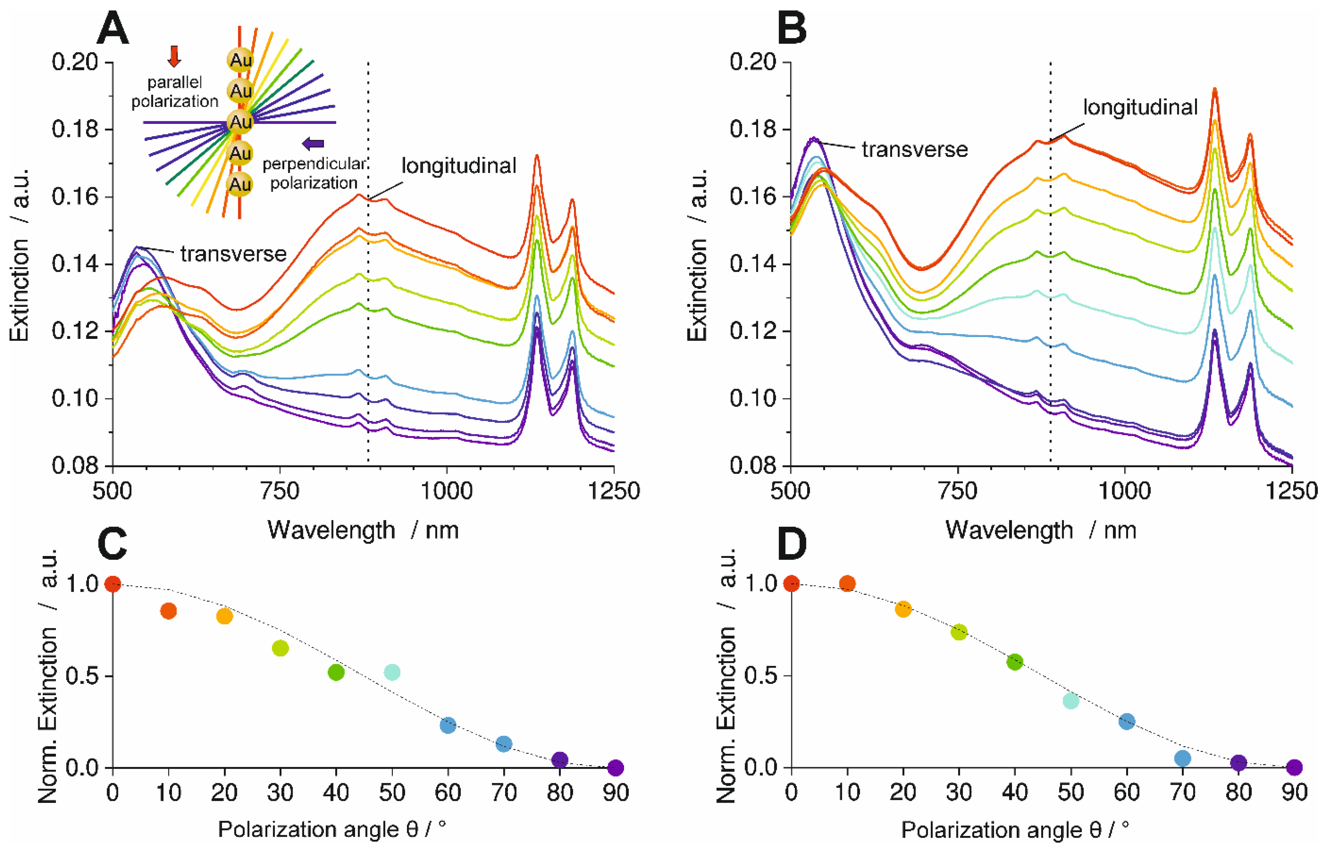 Polymers 16 01553 g004