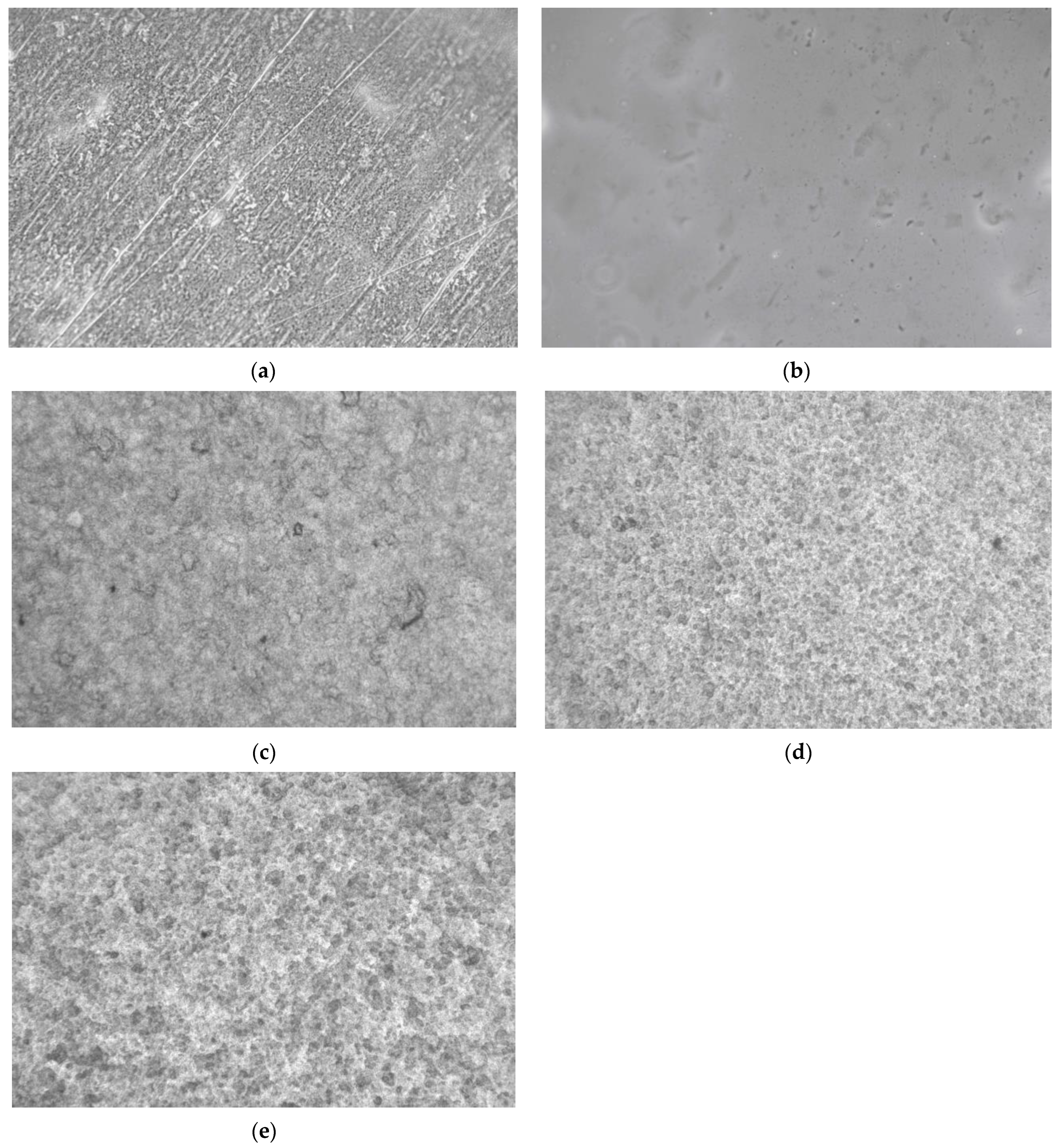 Polymers 16 01554 g005