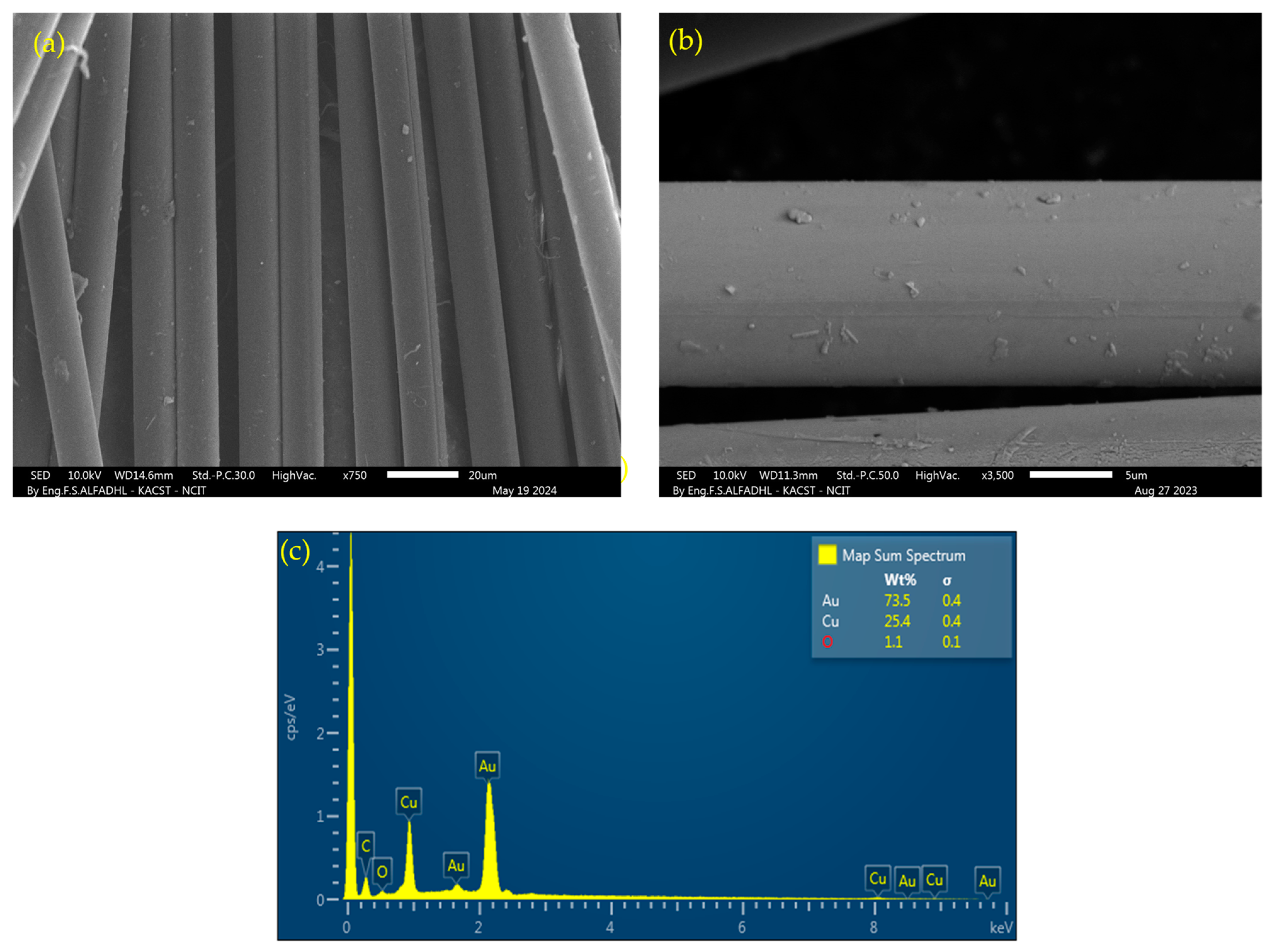 Polymers 16 01560 g004