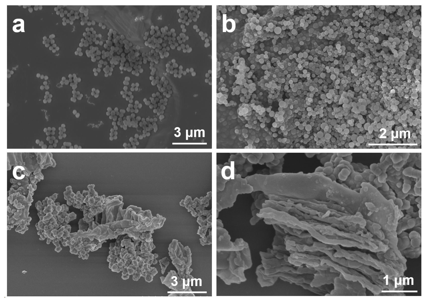 Polymers 16 01566 g001
