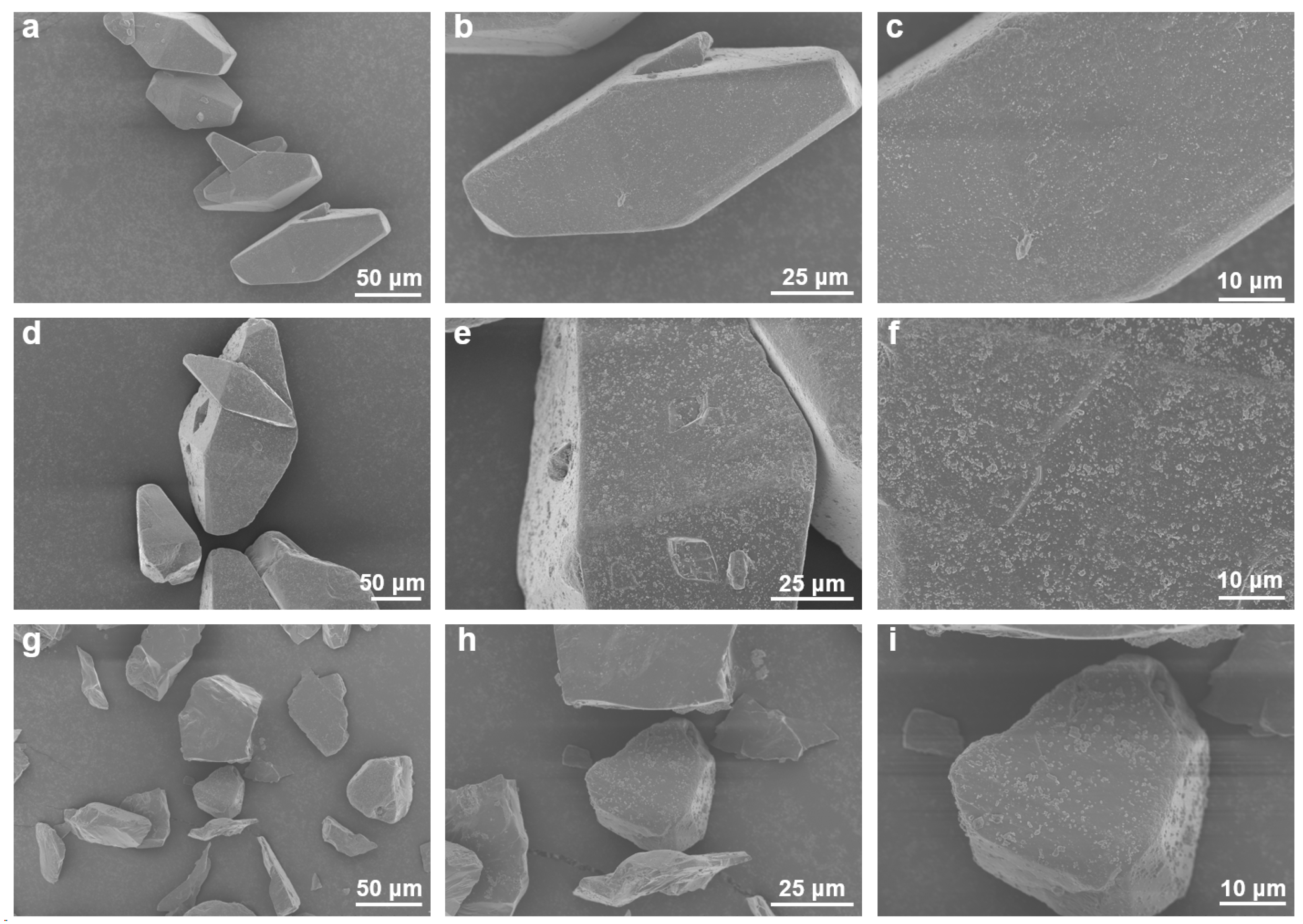 Polymers 16 01566 g005