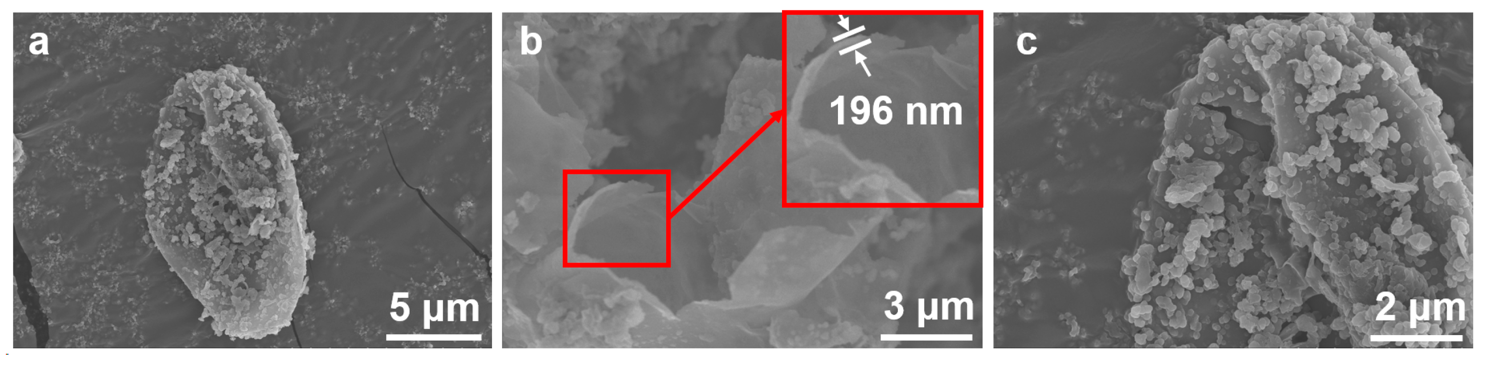 Polymers 16 01566 g006