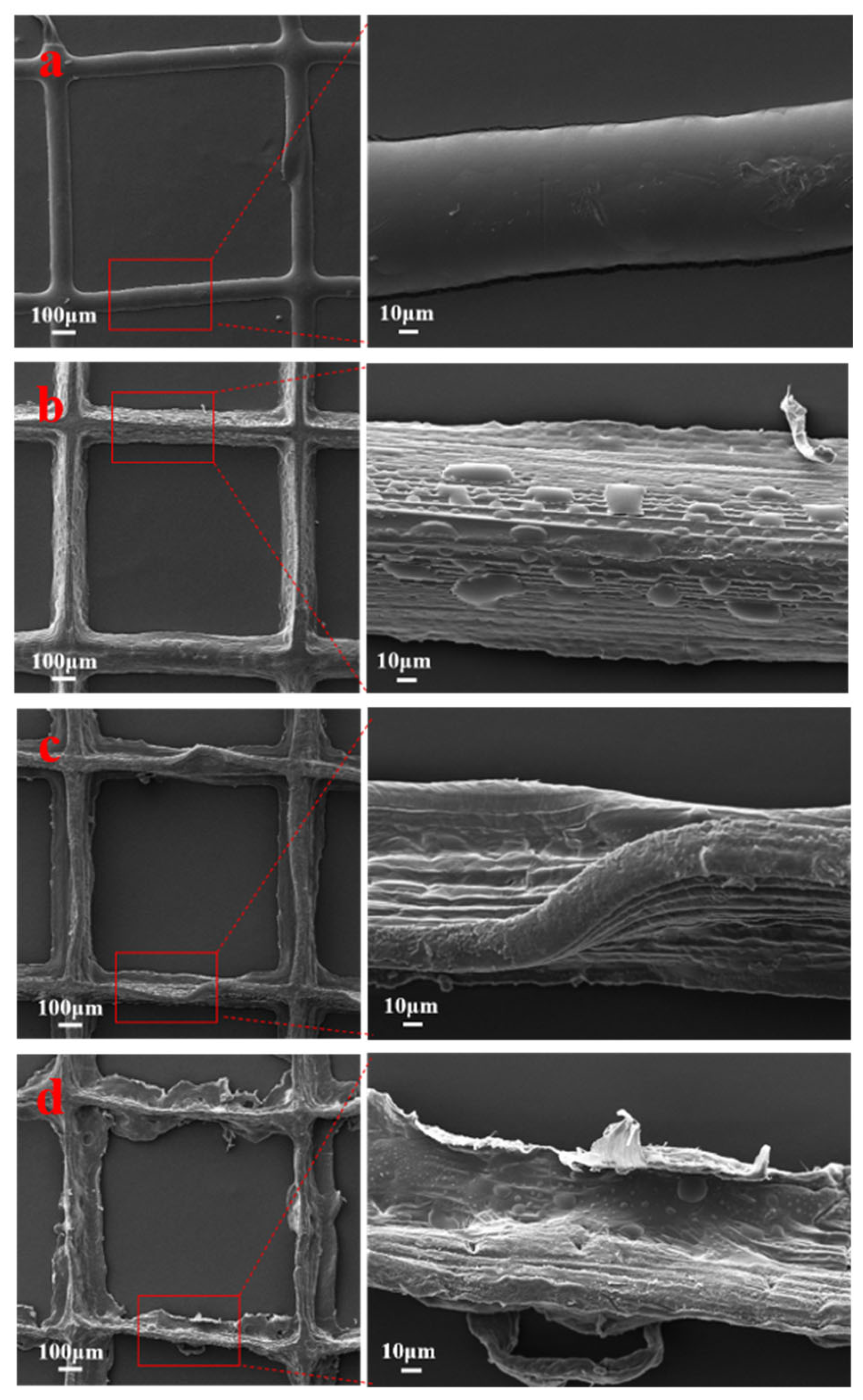 Polymers 16 01573 g002