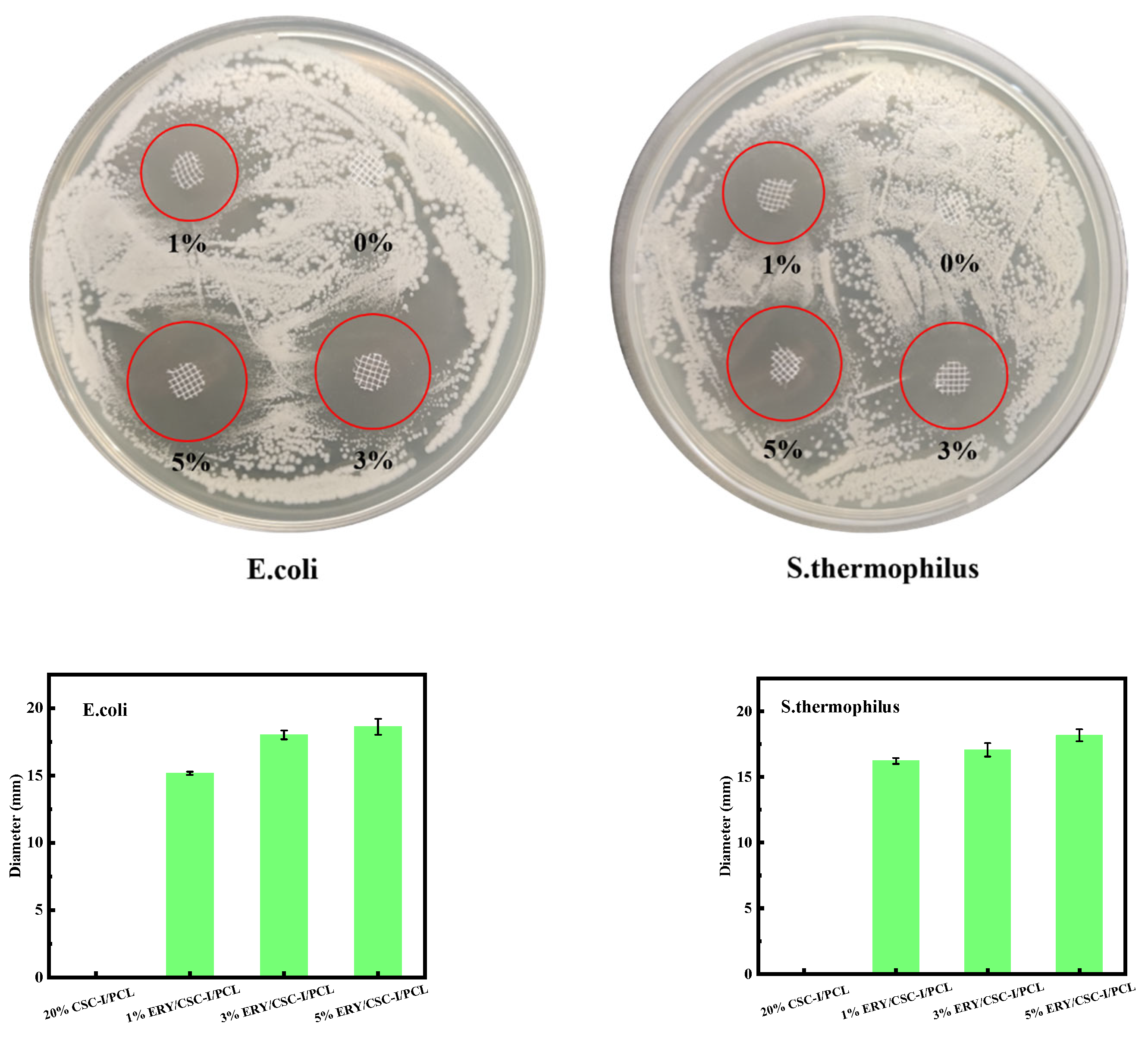 Polymers 16 01573 g010