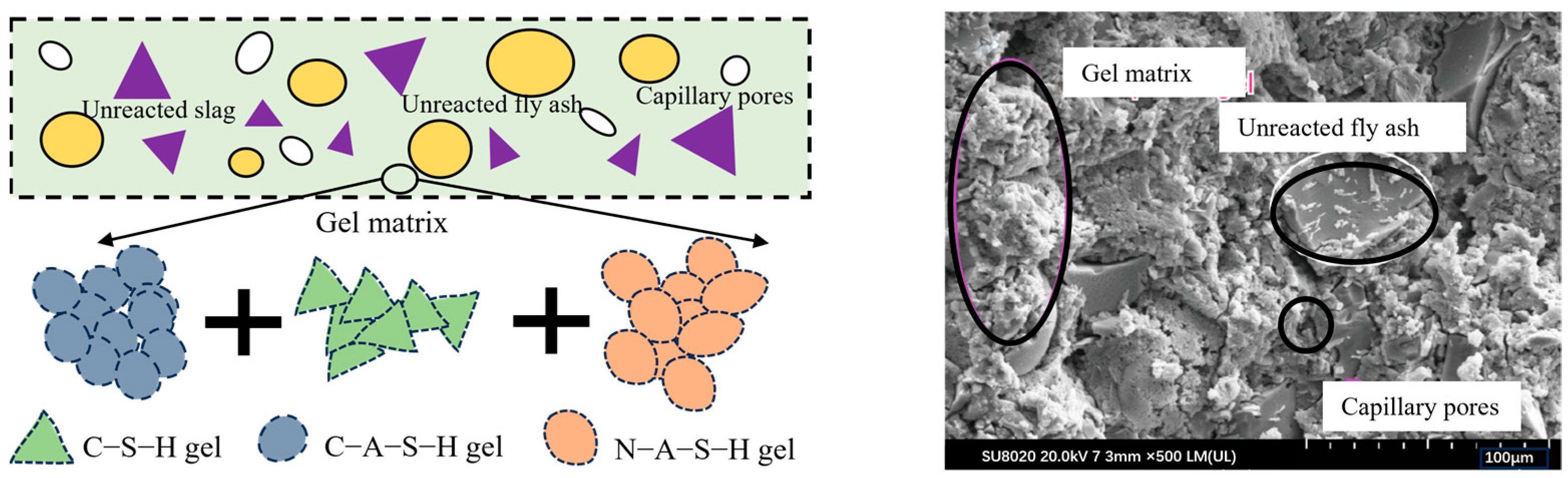 Polymers 16 01582 g002