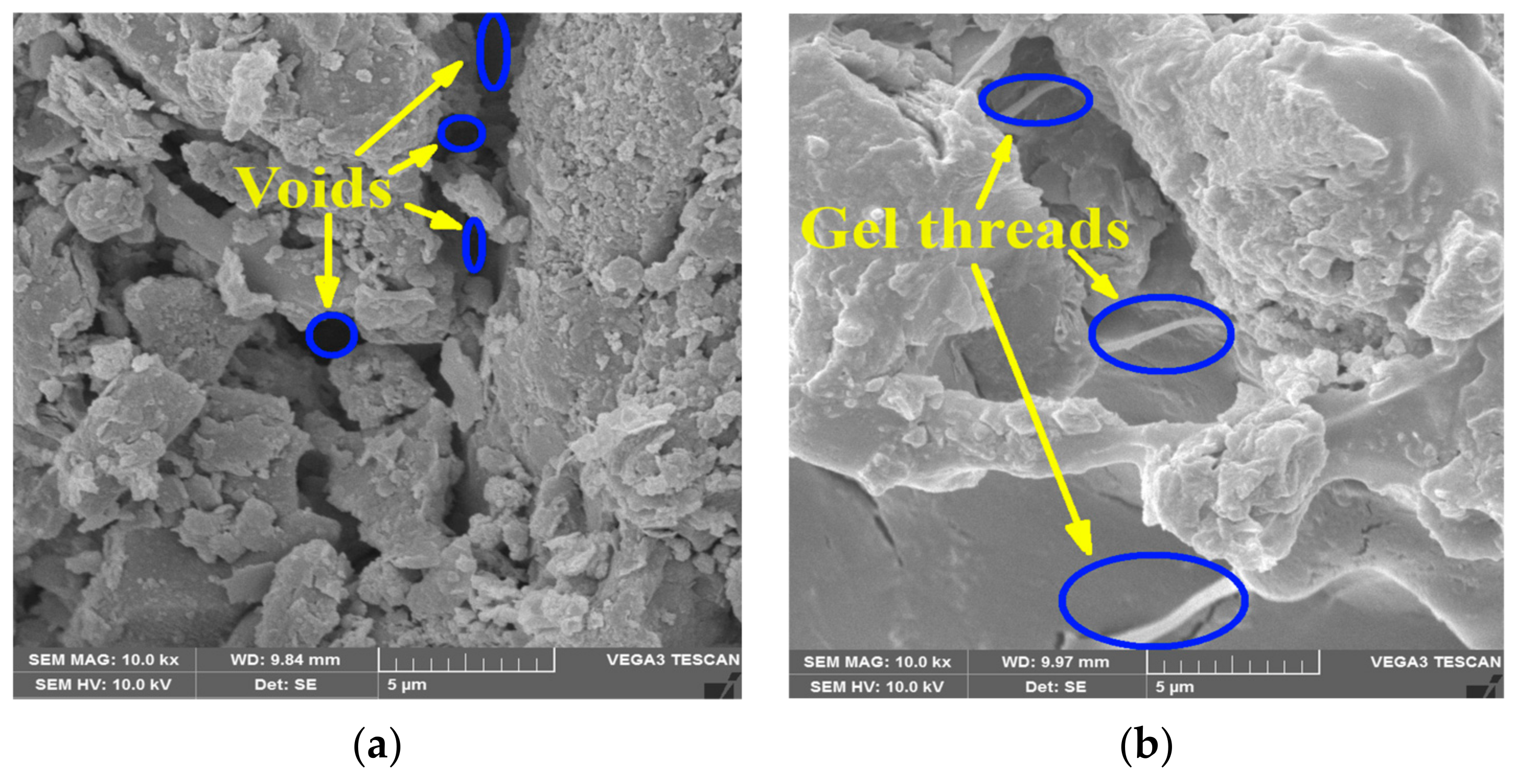Polymers 16 01586 g009