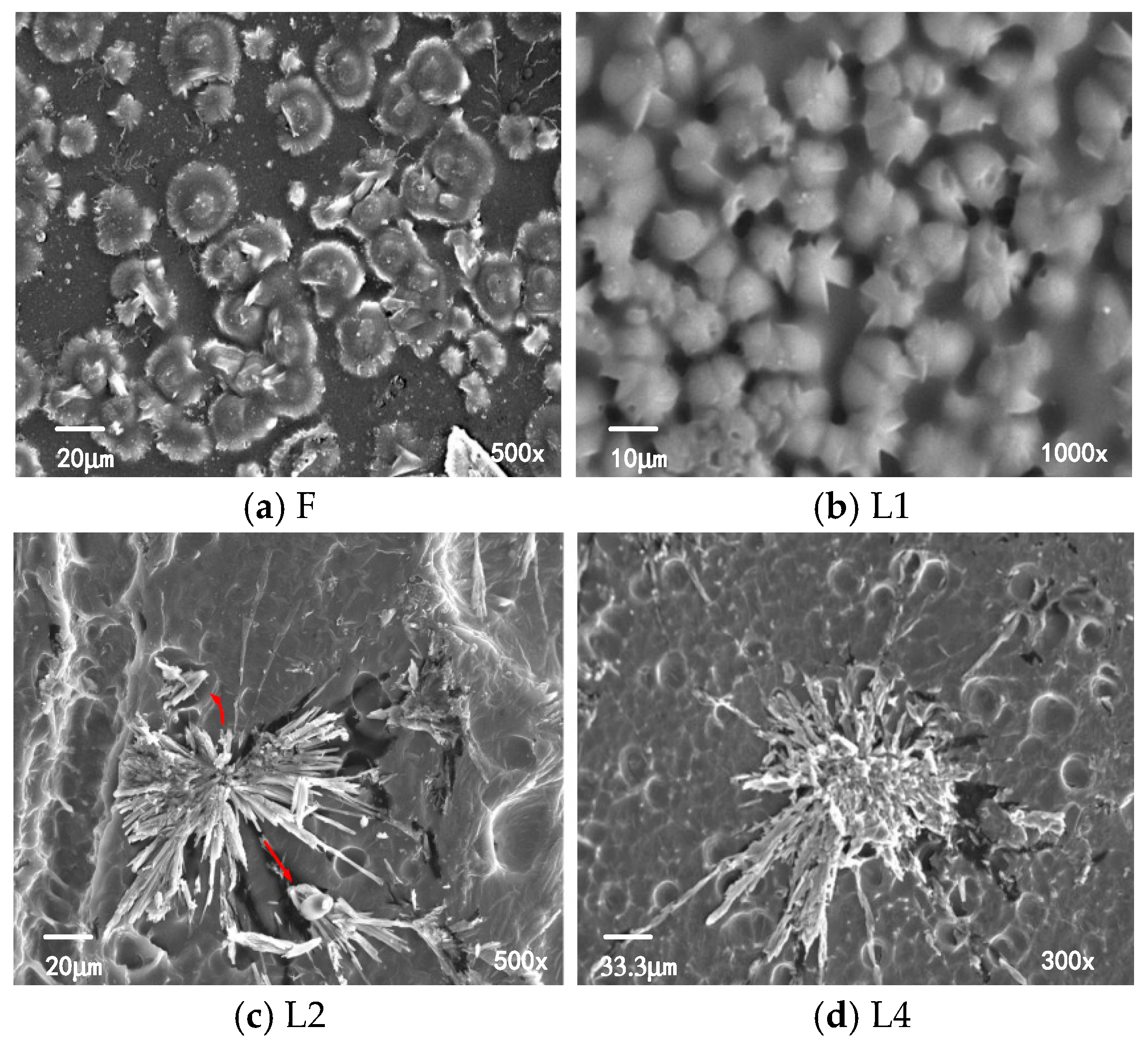 Polymers 16 01600 g003
