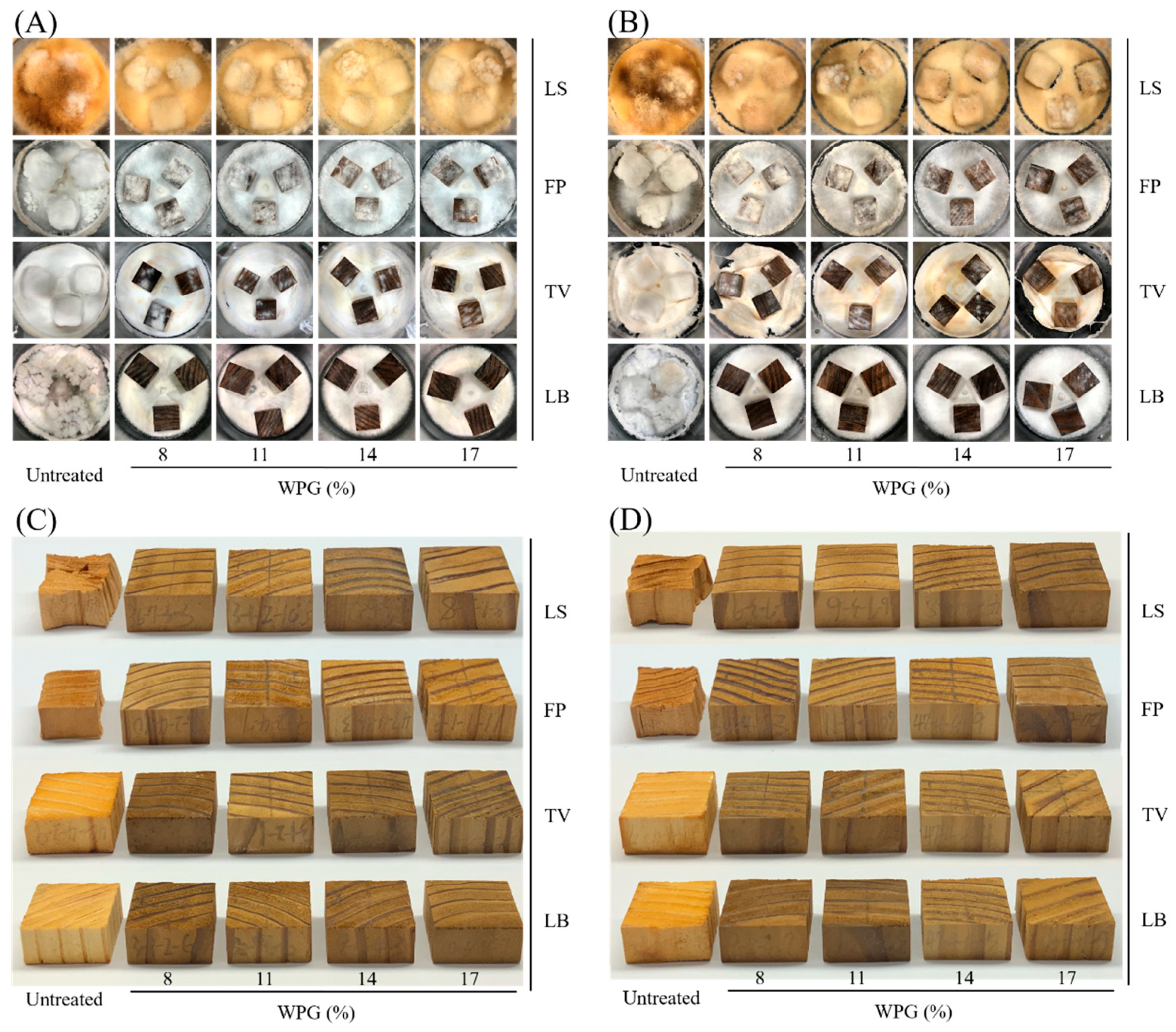 Polymers 16 01601 g004