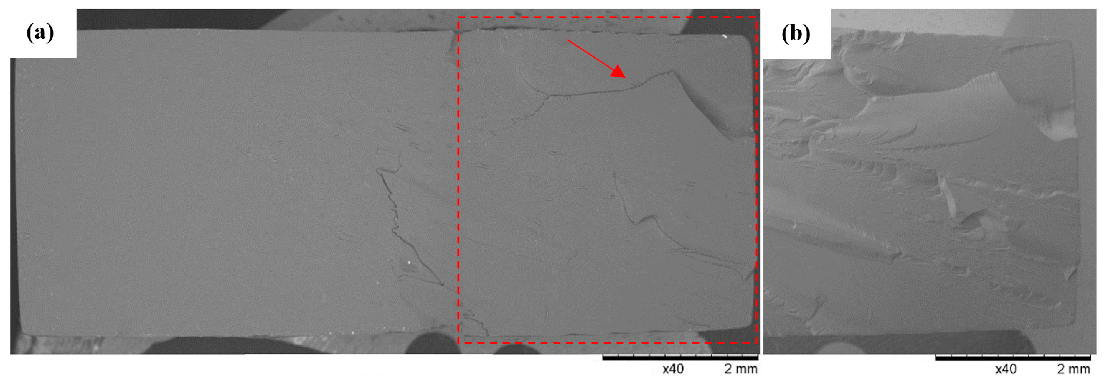 Polymers 16 01607 g013
