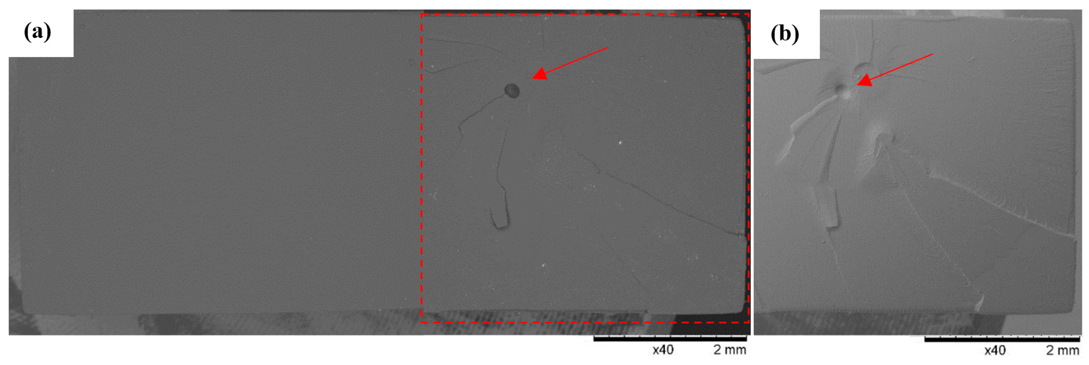 Polymers 16 01607 g014