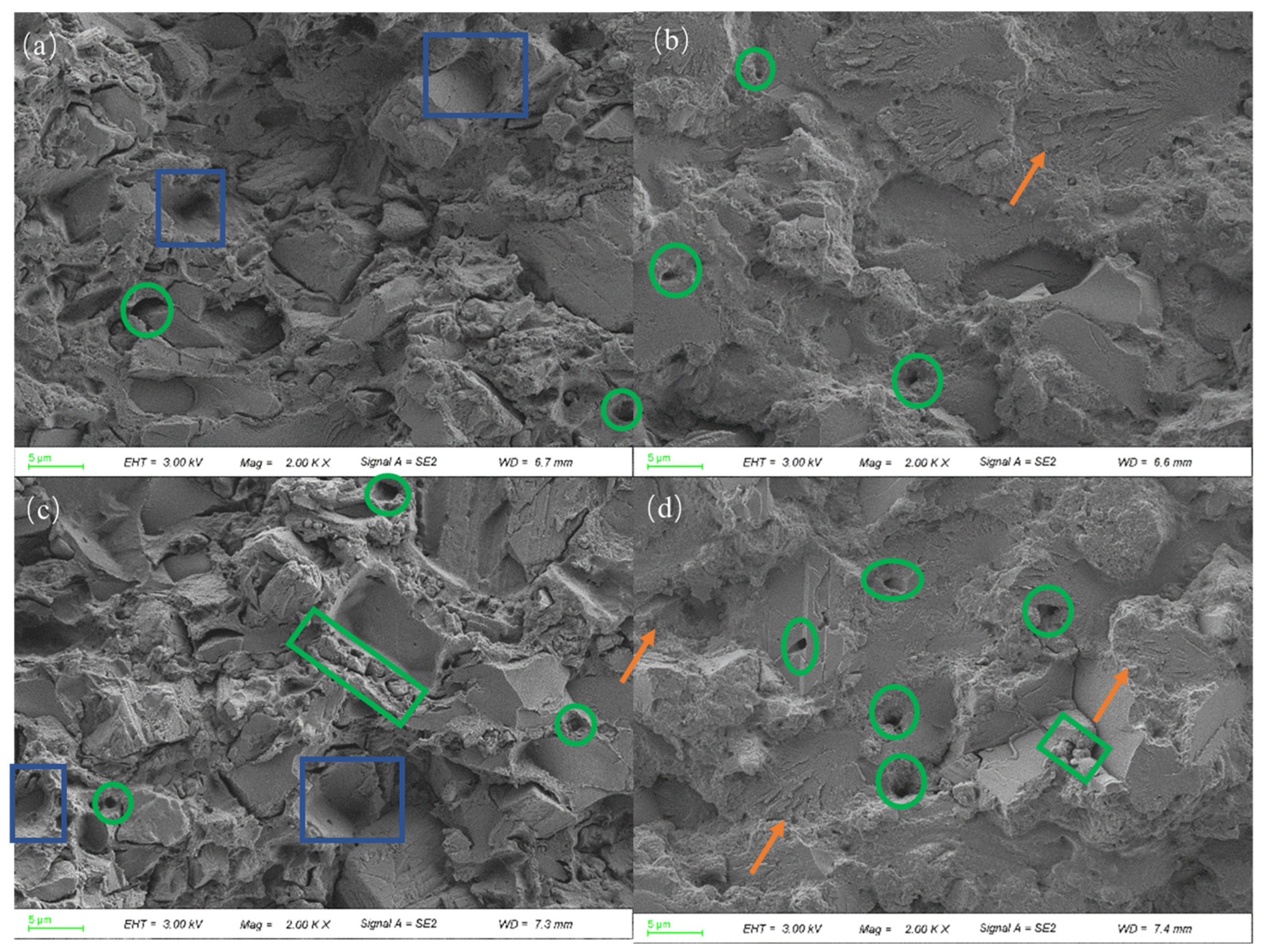 Polymers 16 01609 g007