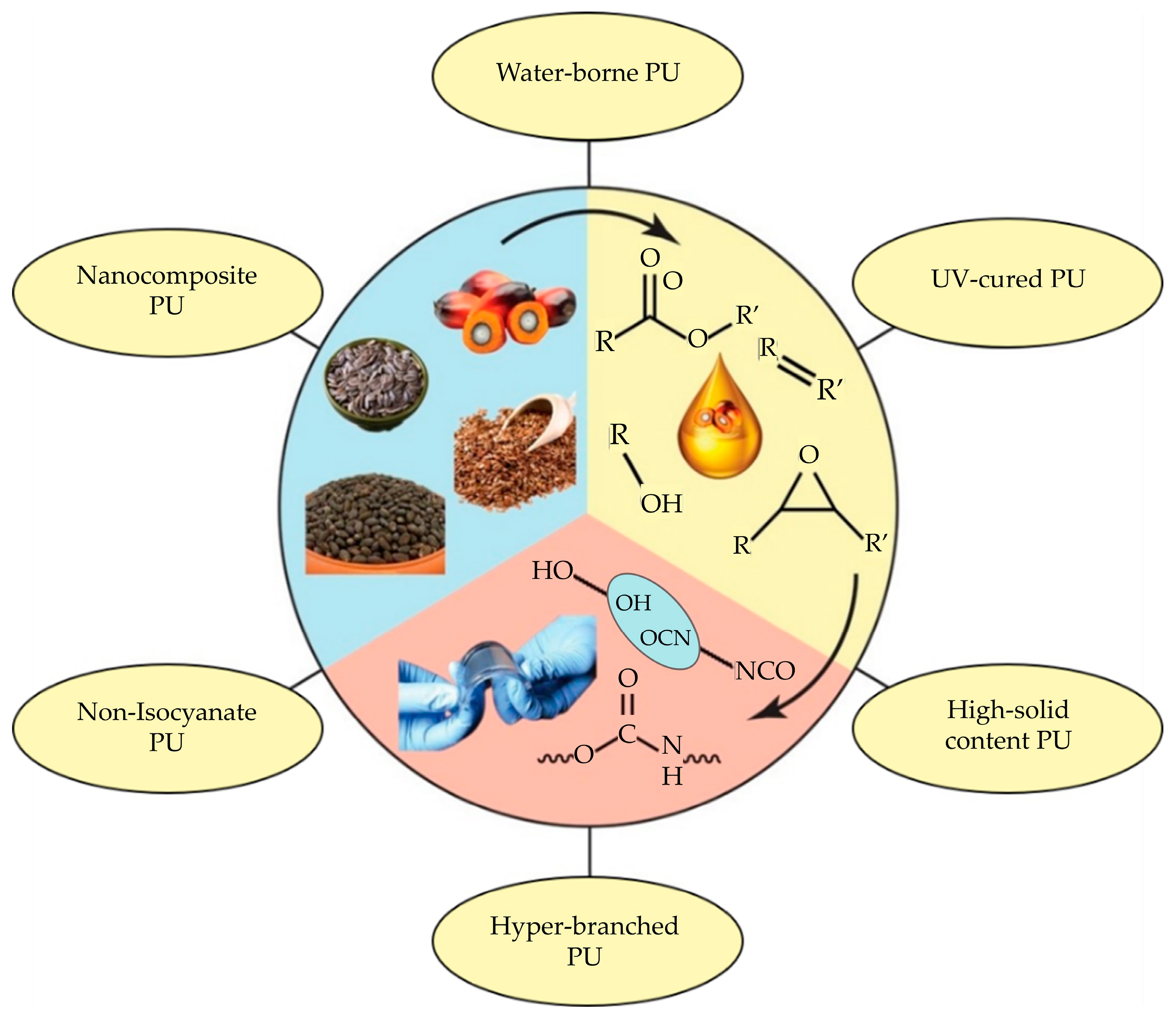 Polymers 16 01613 g001