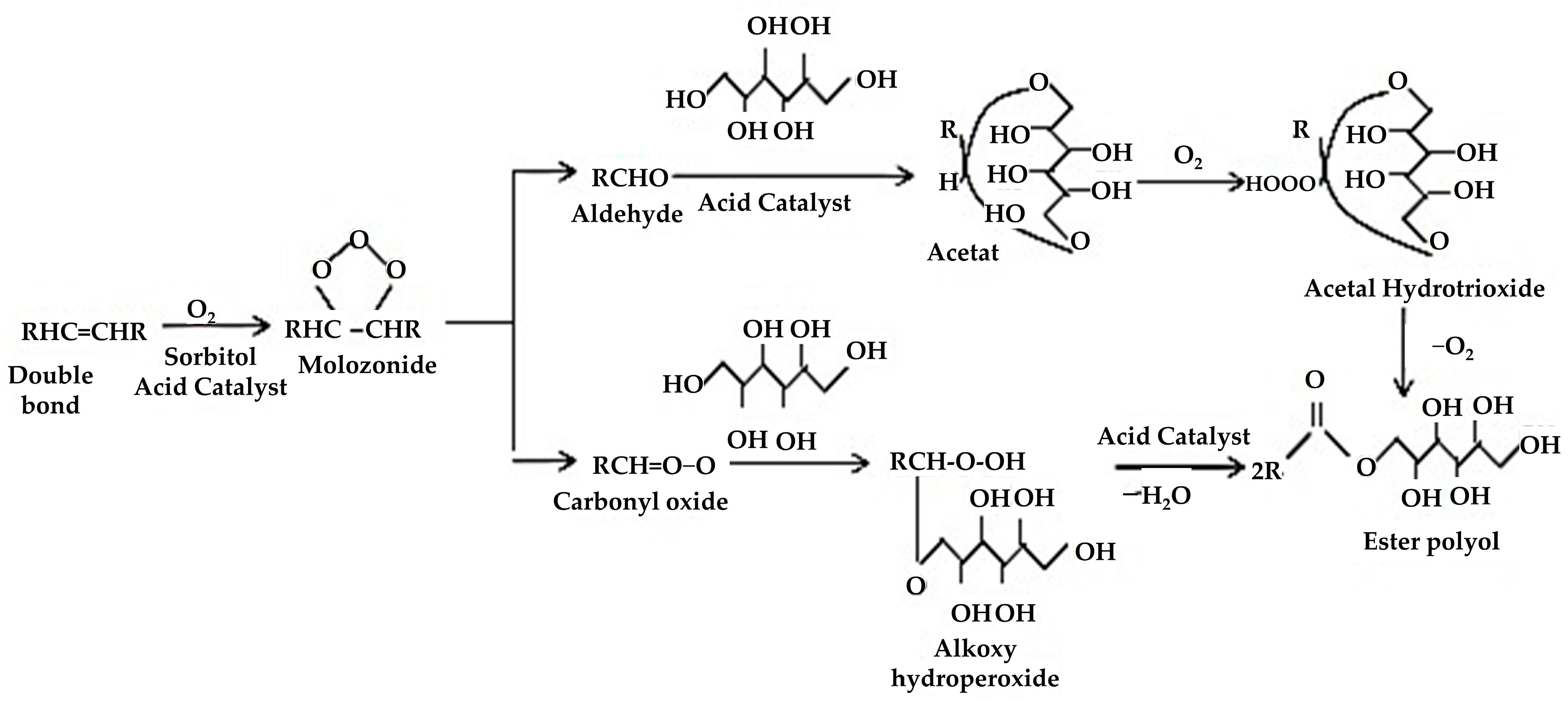 Polymers 16 01613 g005