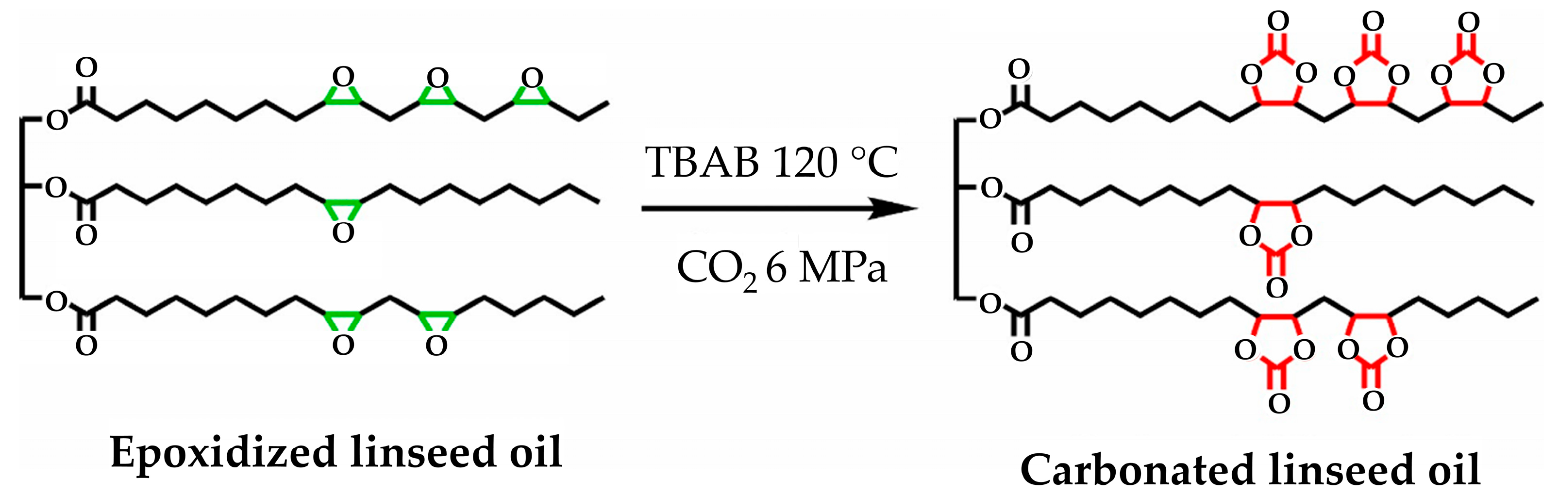 Polymers 16 01613 g010