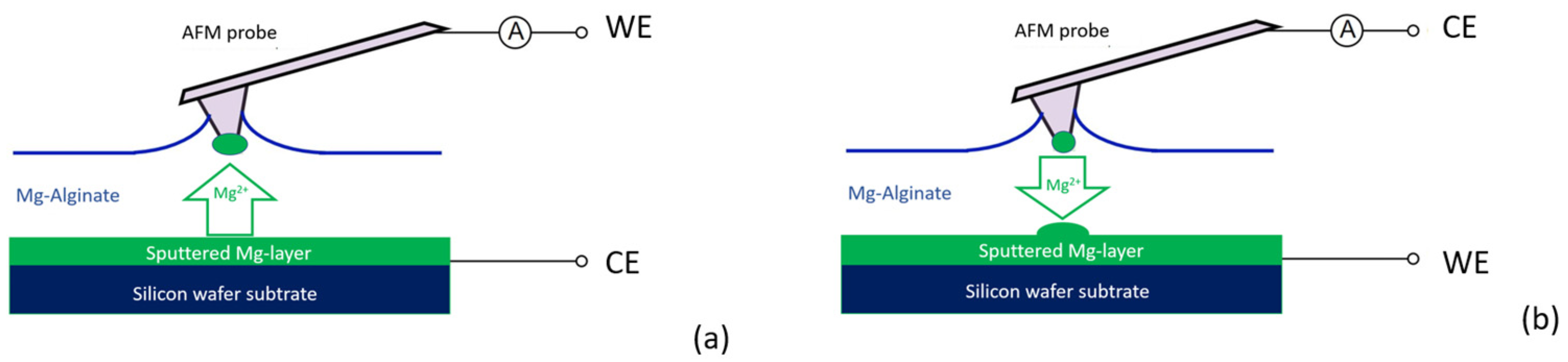 Polymers 16 01615 g002