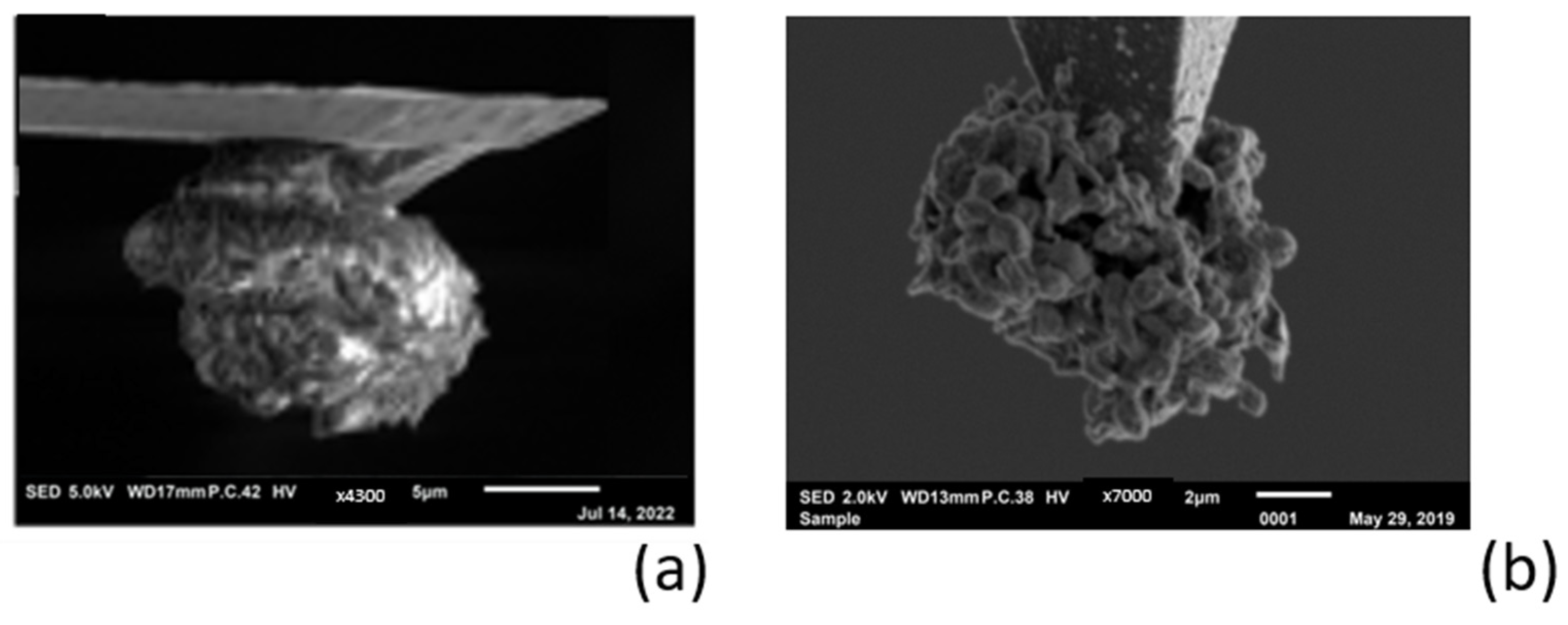 Polymers 16 01615 g007