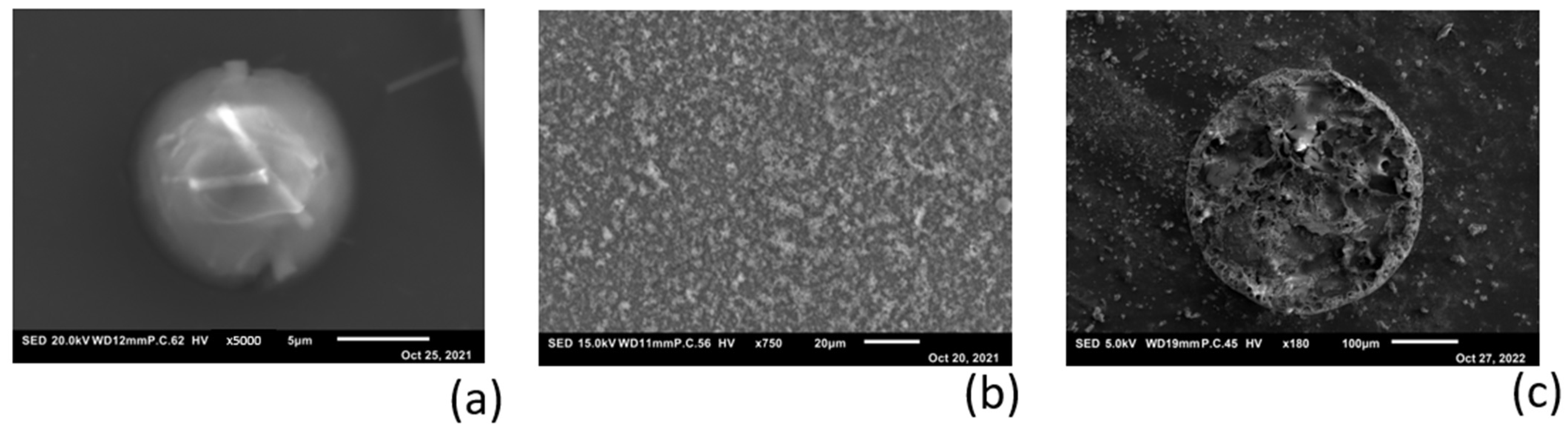 Polymers 16 01615 g009