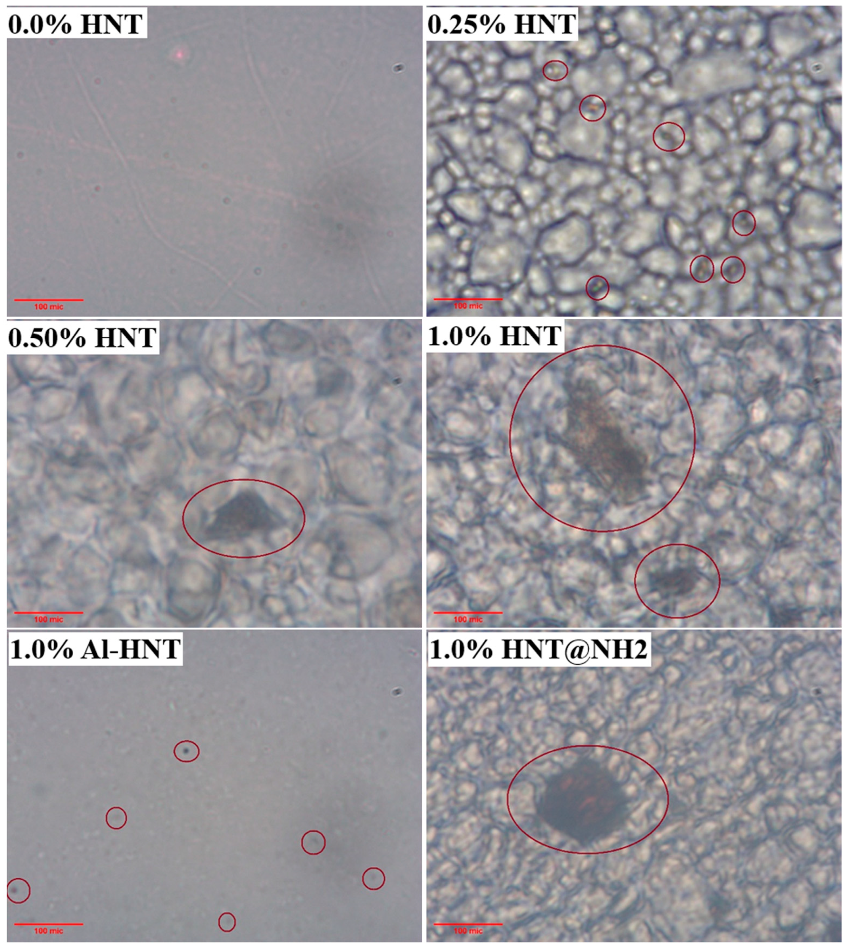 Polymers 16 01616 g005