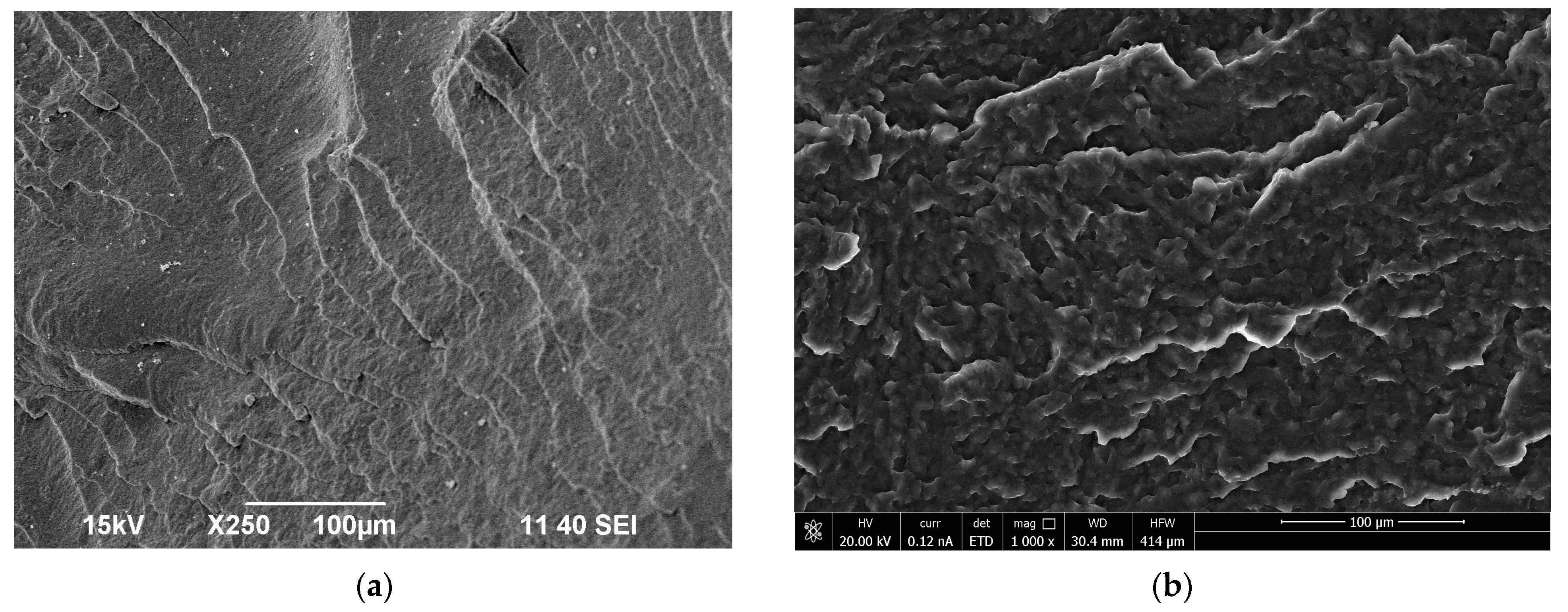 Polymers 16 01618 g004a