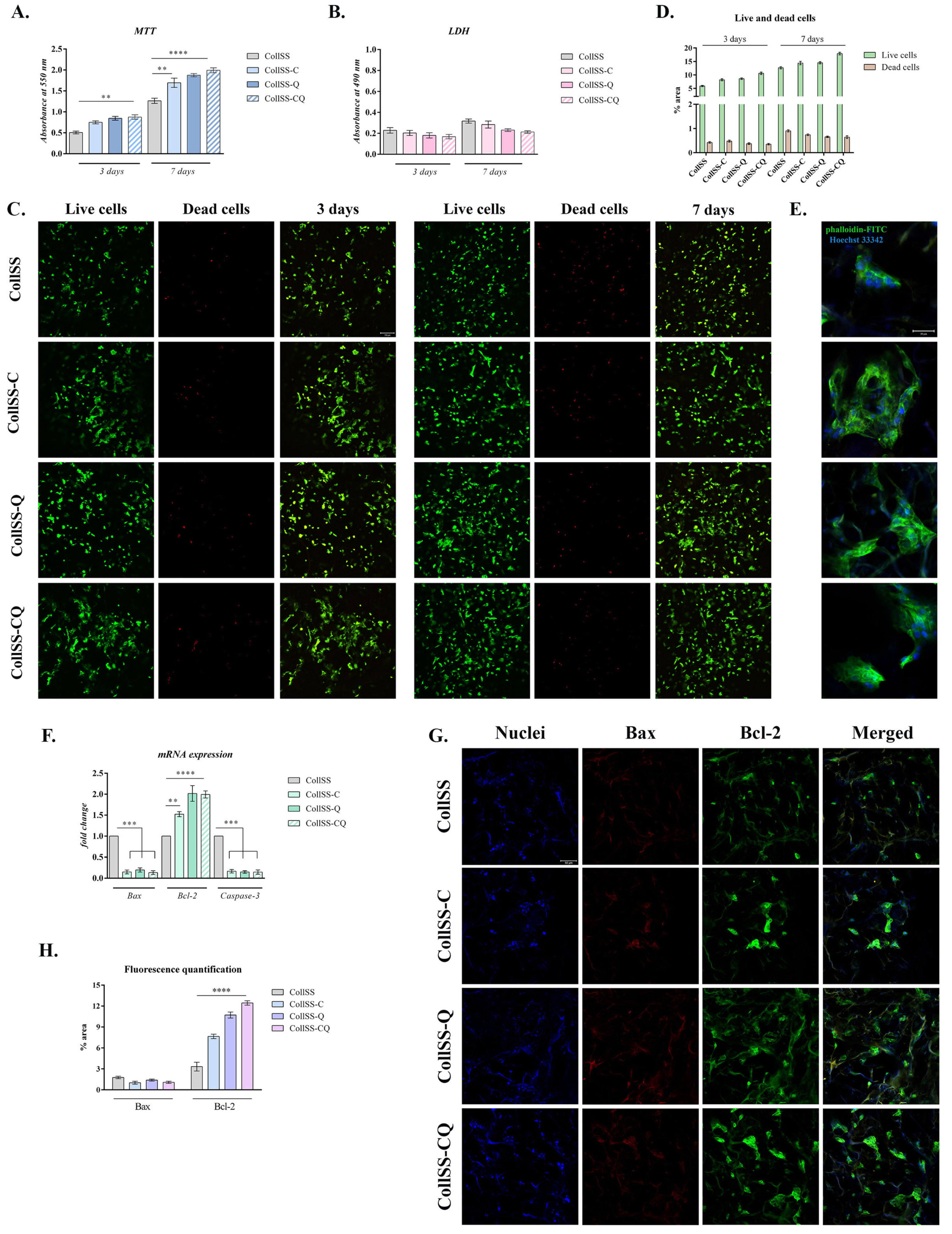 Polymers 16 01627 g002